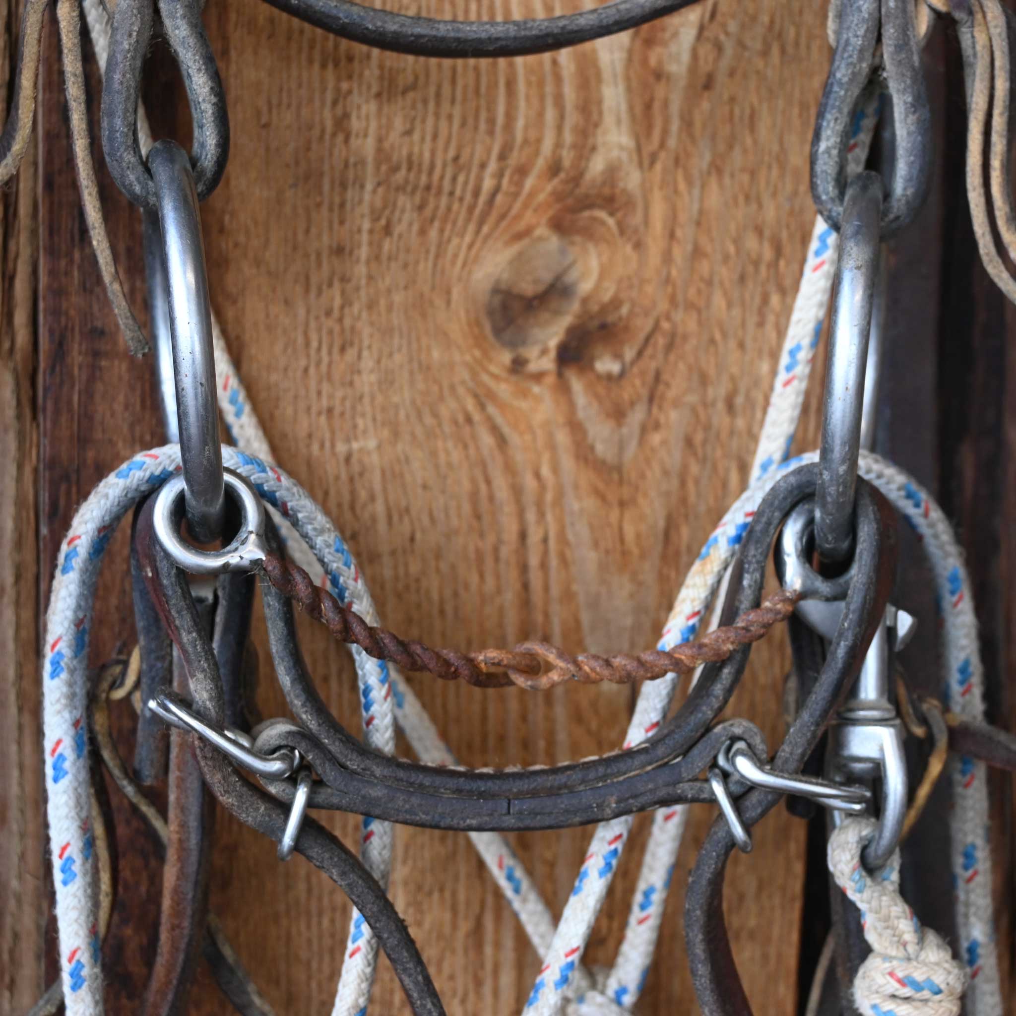 Cow Horse Supply O-Ring Twisted Wire Snaffle Bridle Rig w/String Martingale