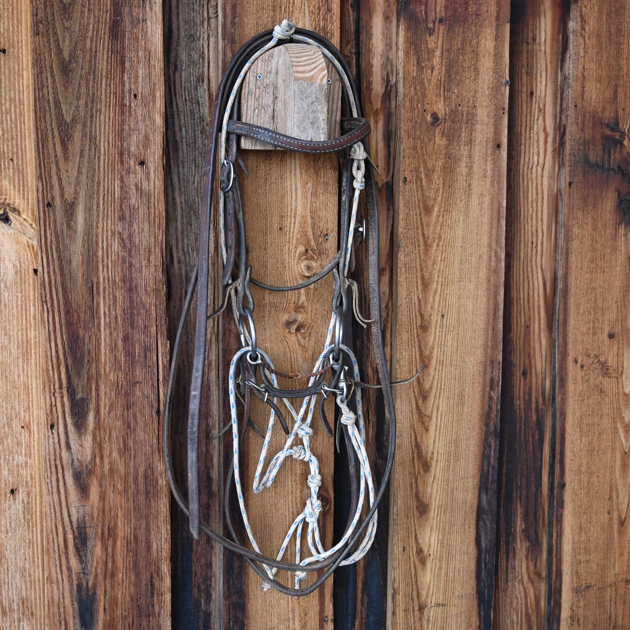 Cow Horse Supply O-Ring Twisted Wire Snaffle Bridle Rig w/String Martingale - Image 3