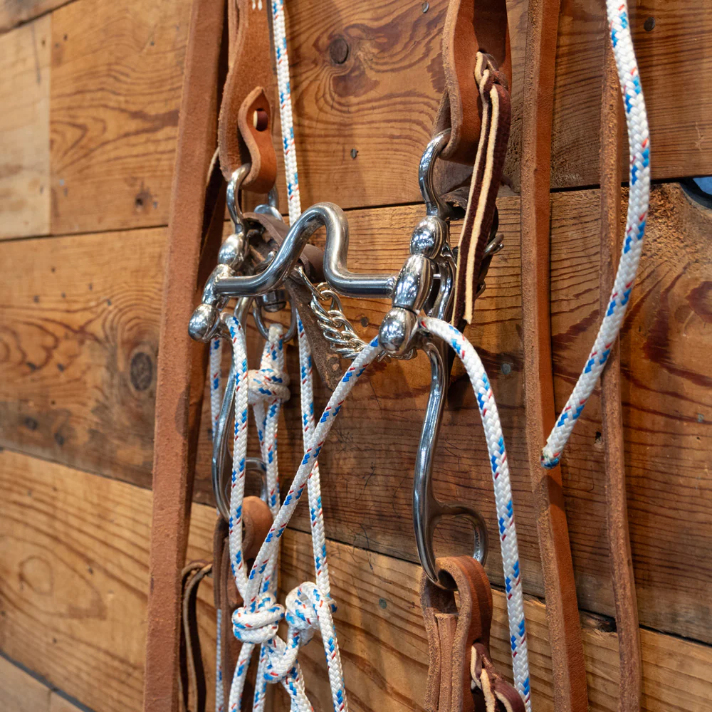CHS Solid Port Bit - Tejas Shank Bridle Rig w/Martingale