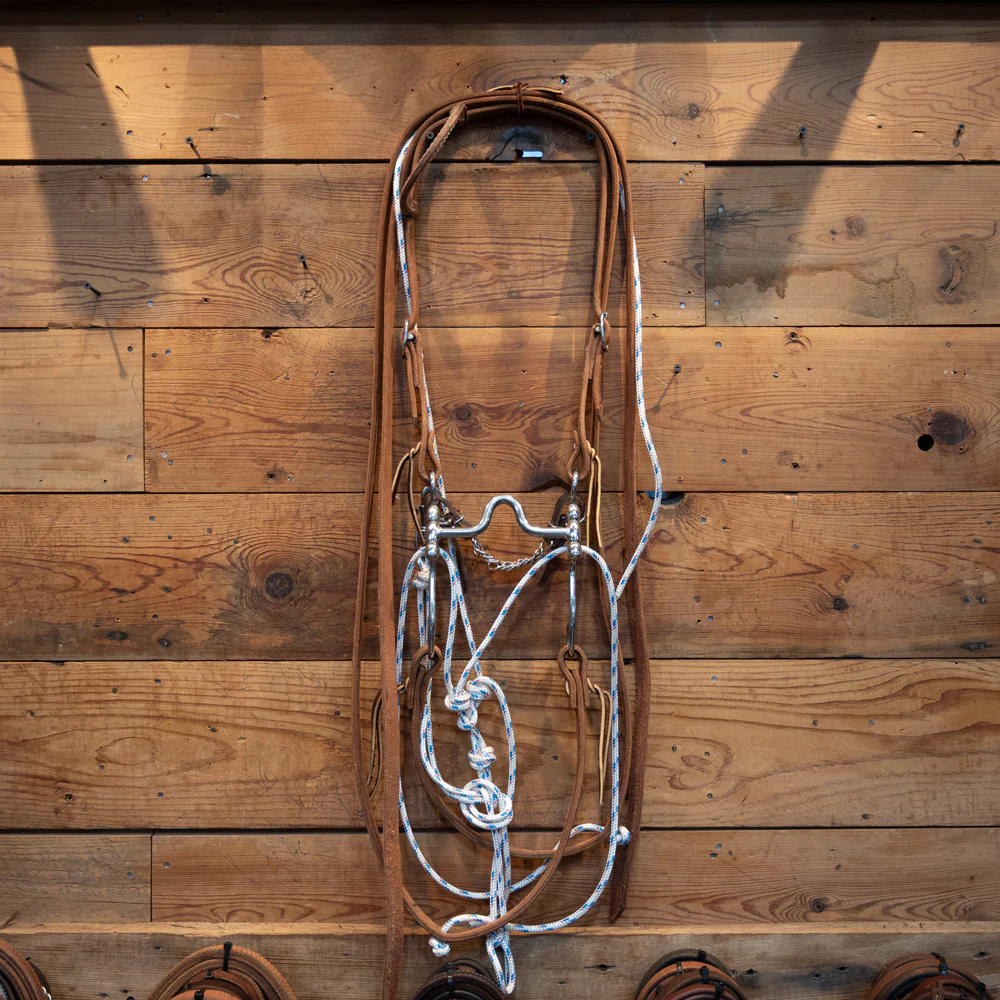 CHS Solid Port Bit - Tejas Shank Bridle Rig w/Martingale - Image 2