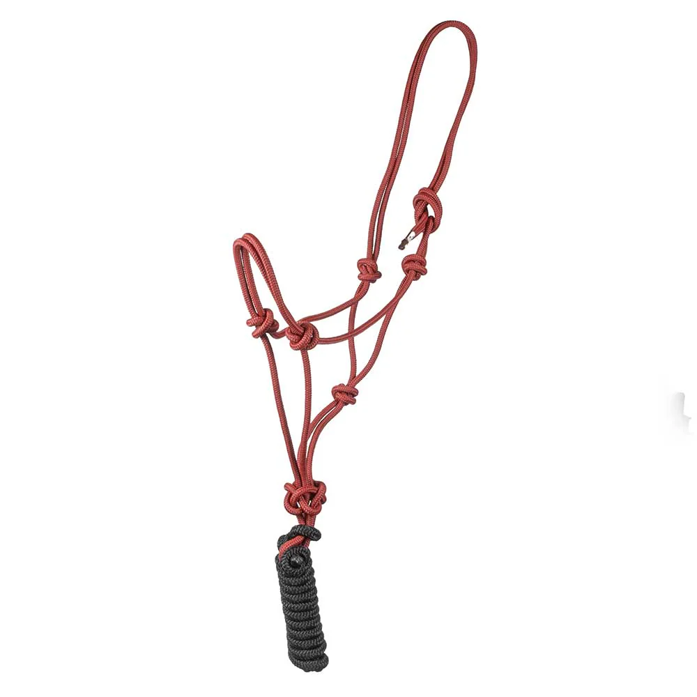 Teskey's Cowboy Rope Halters w/ Lead - Image 2