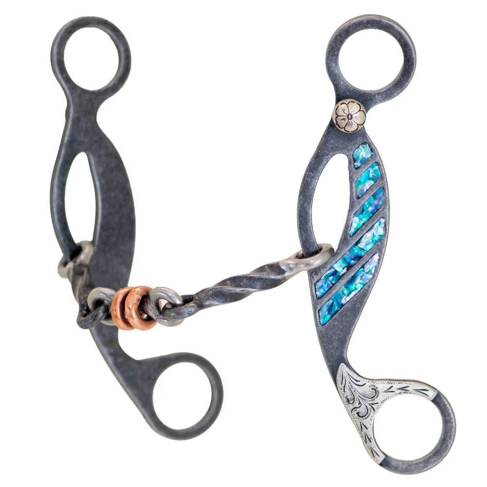 Cowboy Tack Turquoise Twisted Dog Bone Gag Bit