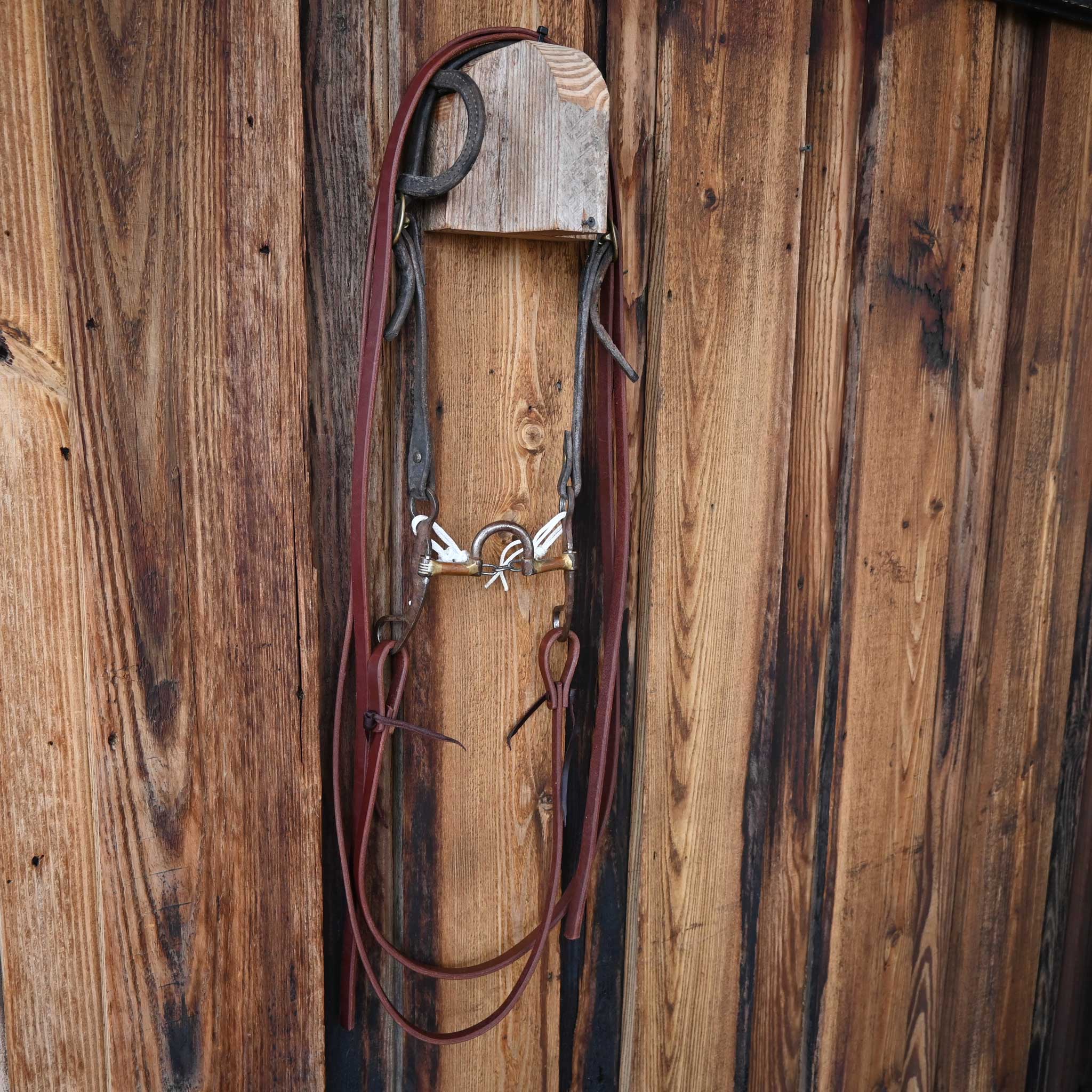 Cowpuncher Correction Bridle Rig w/Single Ear Headstall - Image 4