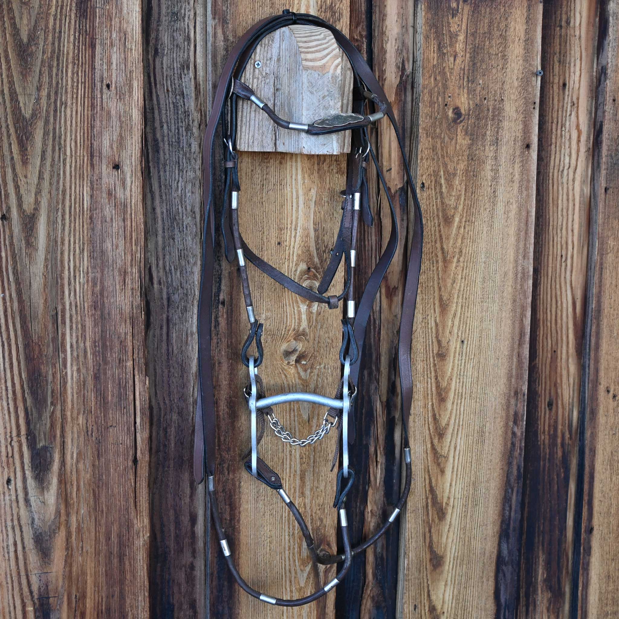 Crockett Mullen Bridle Rig - Image 4