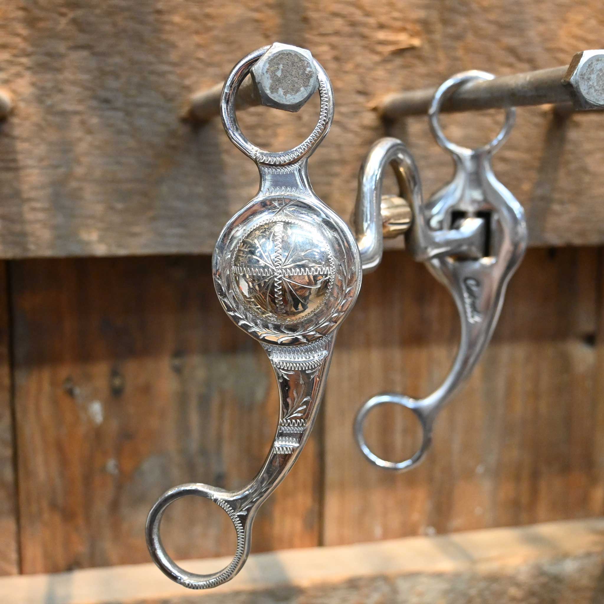 Cutrell Silver Mounted Cheek Concho Port w/Cricket Bit - Image 3