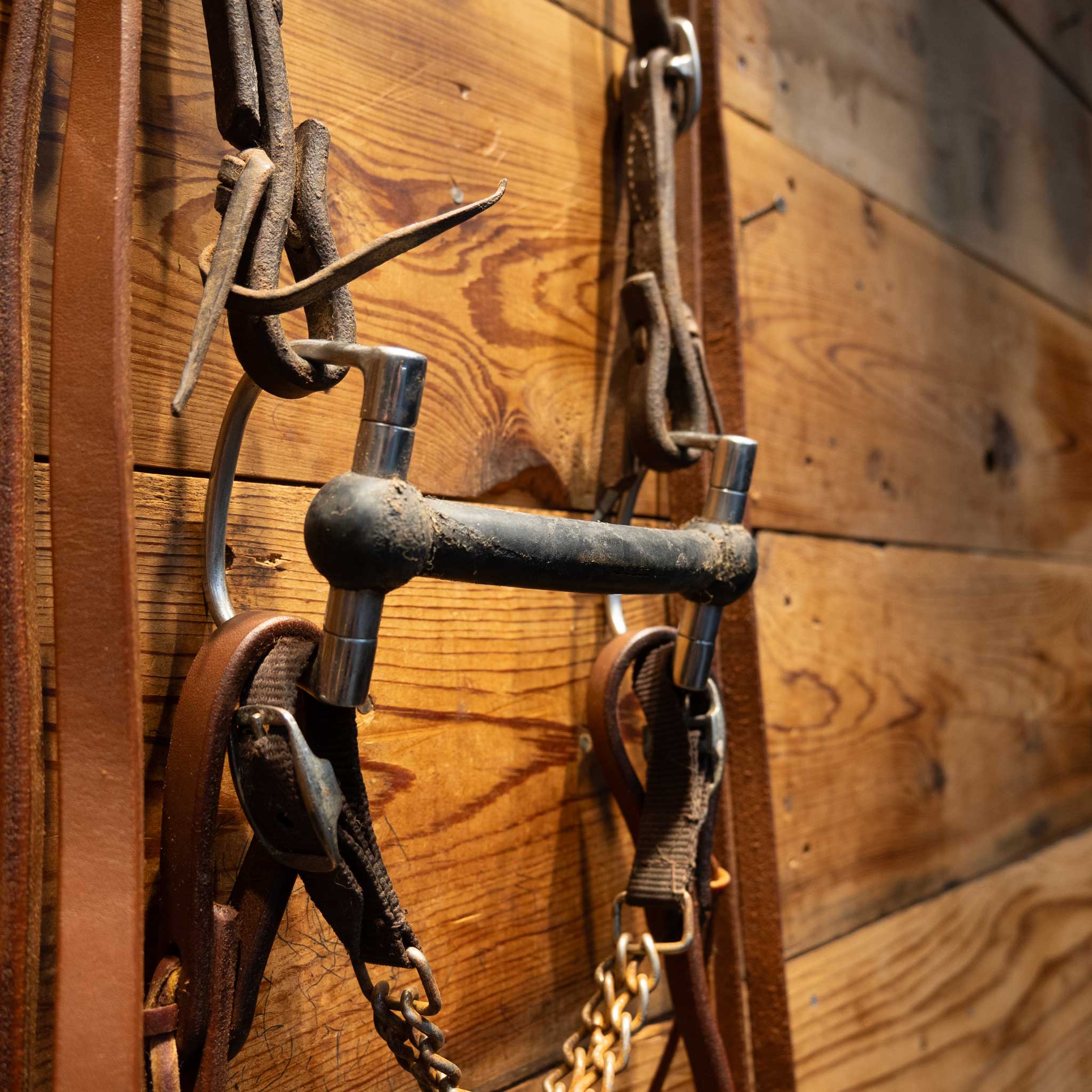 D-Ring w/a Rubber Mullen Bridle Rig