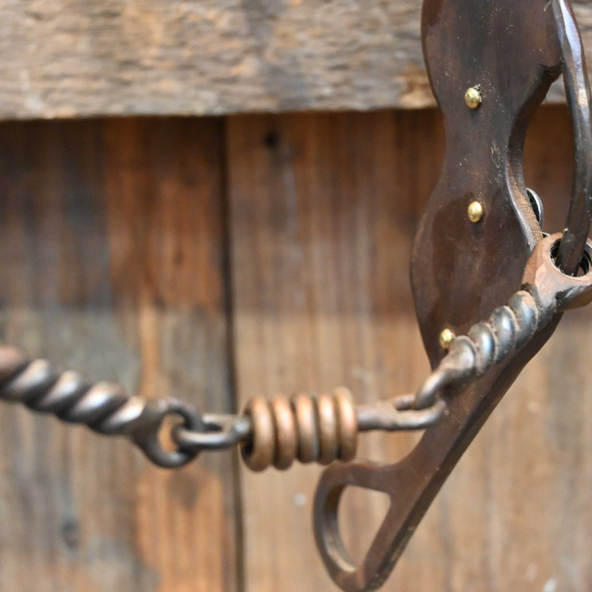Dale Myres Twisted Wire Dogbone Gag Bit - Image 2