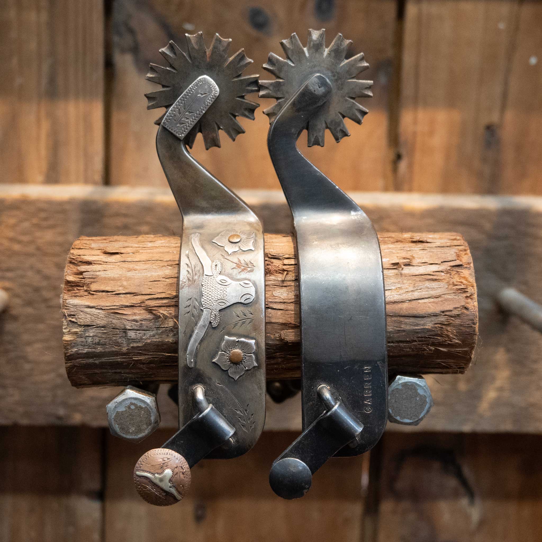 Damon Garren 12pt Longhorn Spurs
