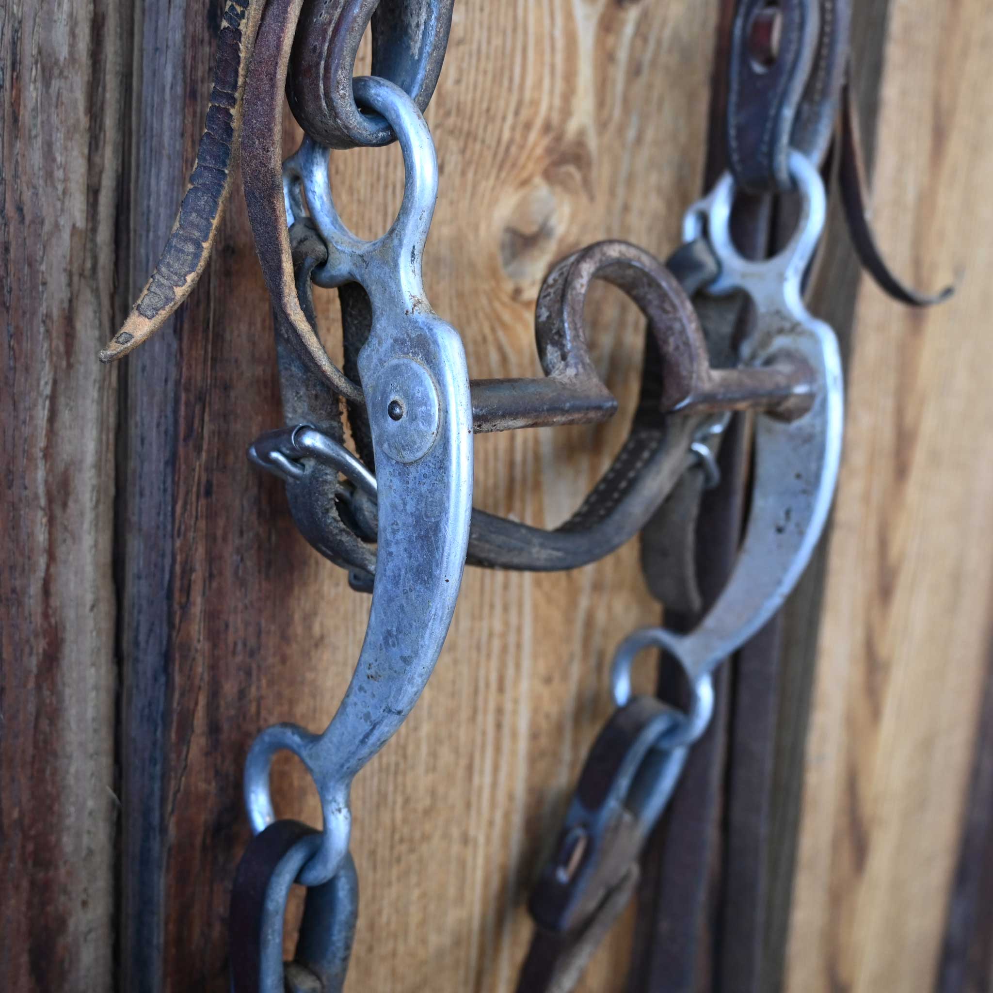 Daryl Davis C-Port Bridle Rig w/Split Reins