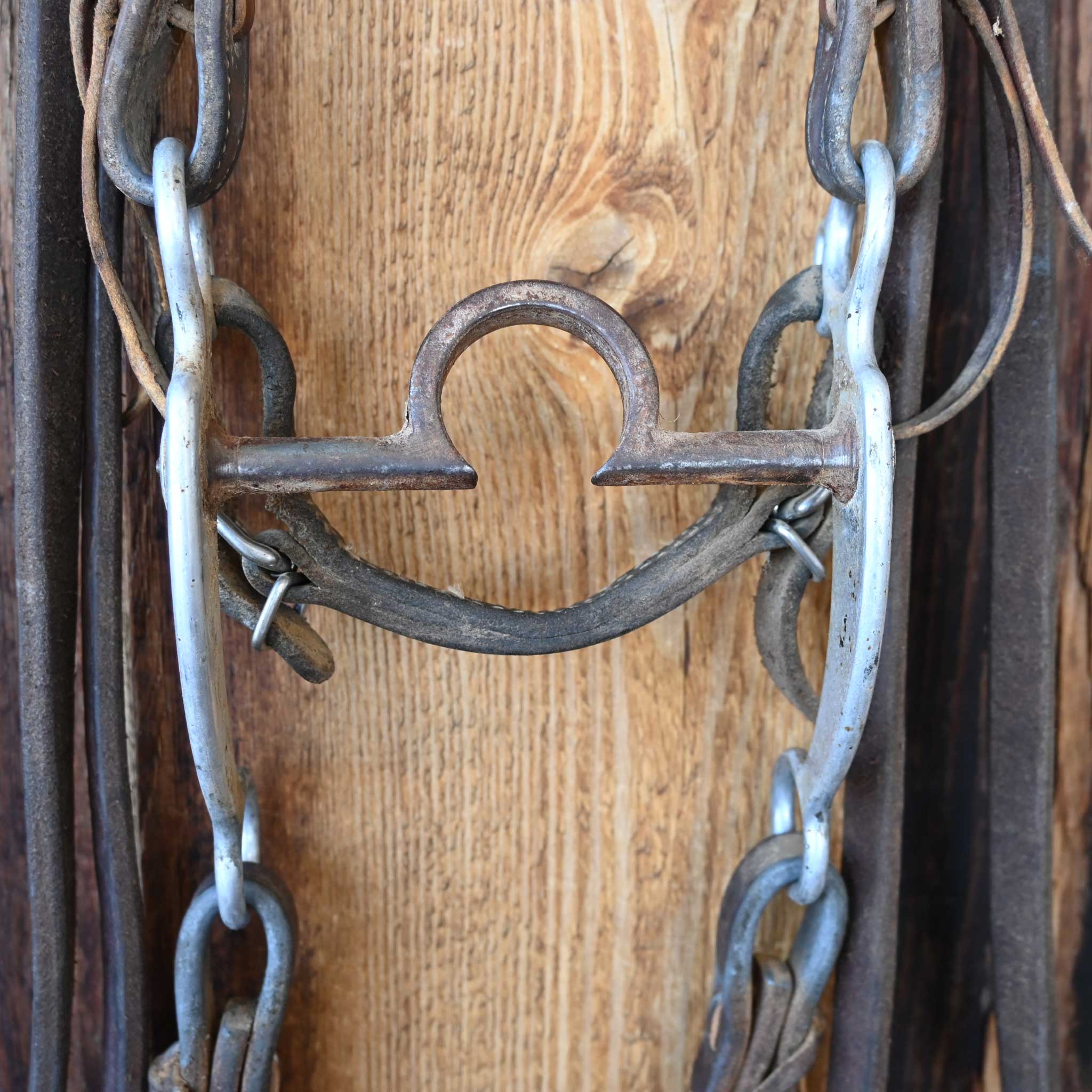 Daryl Davis C-Port Bridle Rig w/Split Reins - Image 2