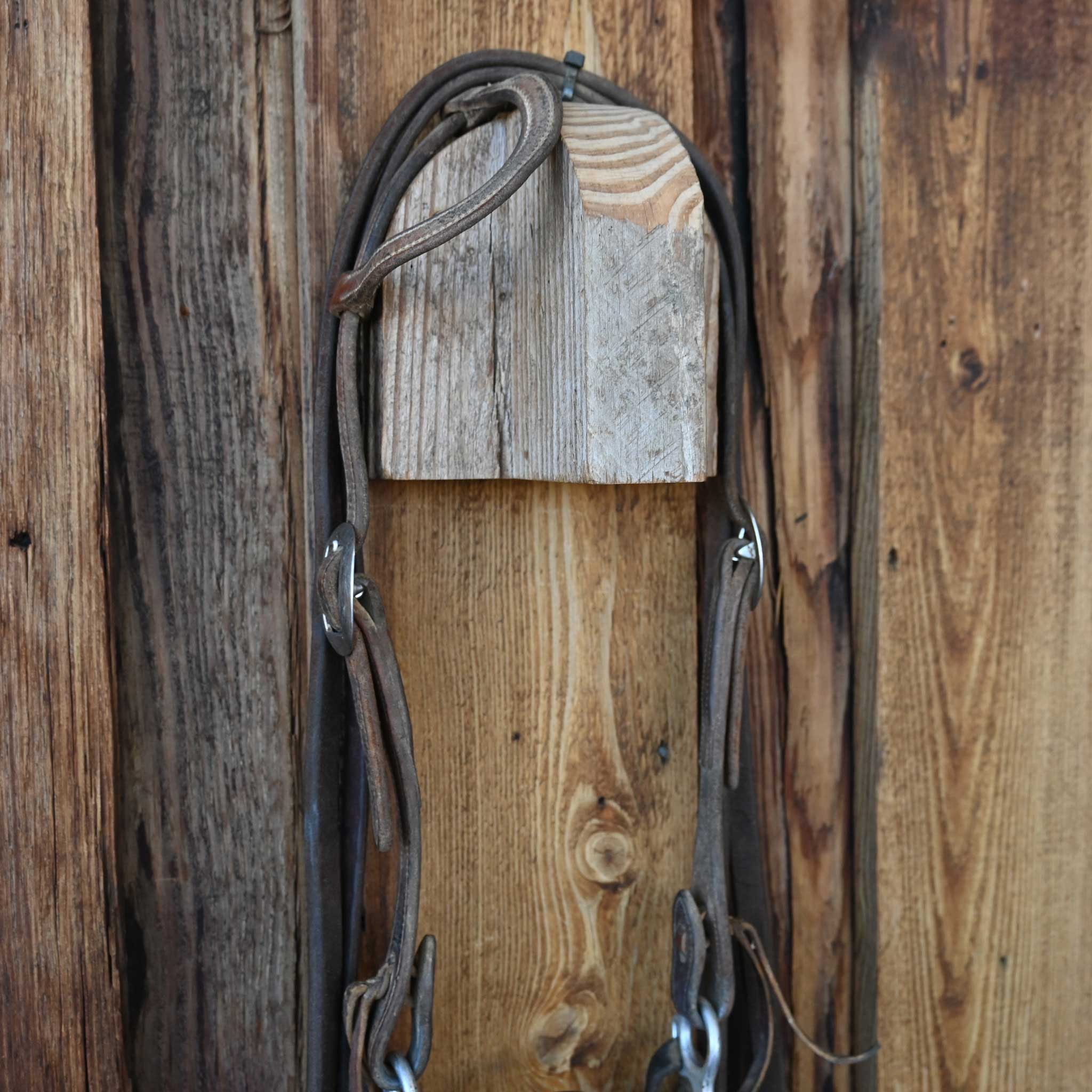 Daryl Davis C-Port Bridle Rig w/Split Reins - Image 3