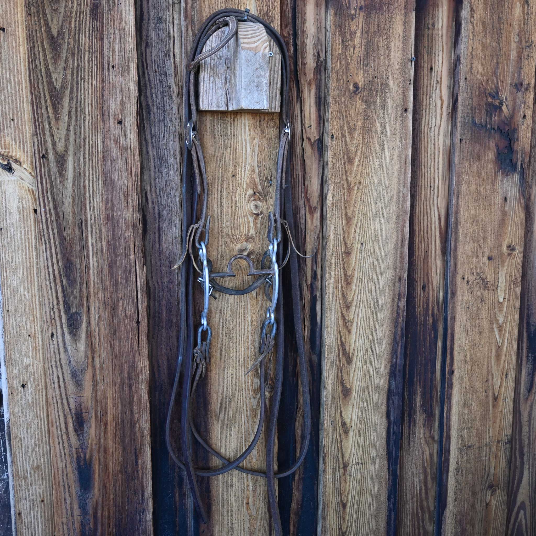 Daryl Davis C-Port Bridle Rig w/Split Reins - Image 4