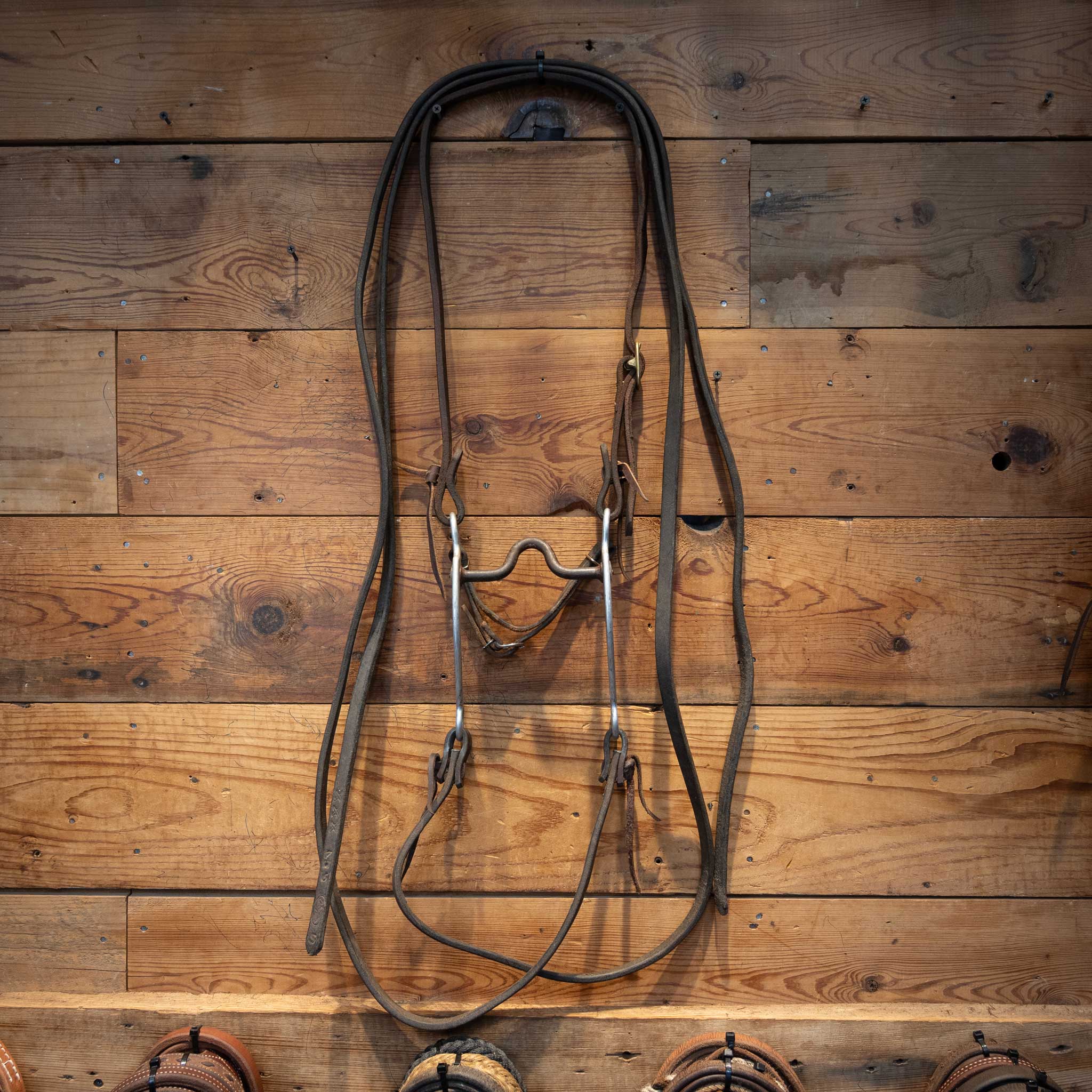 Daryl Davis Port Bridle Rig - Image 2