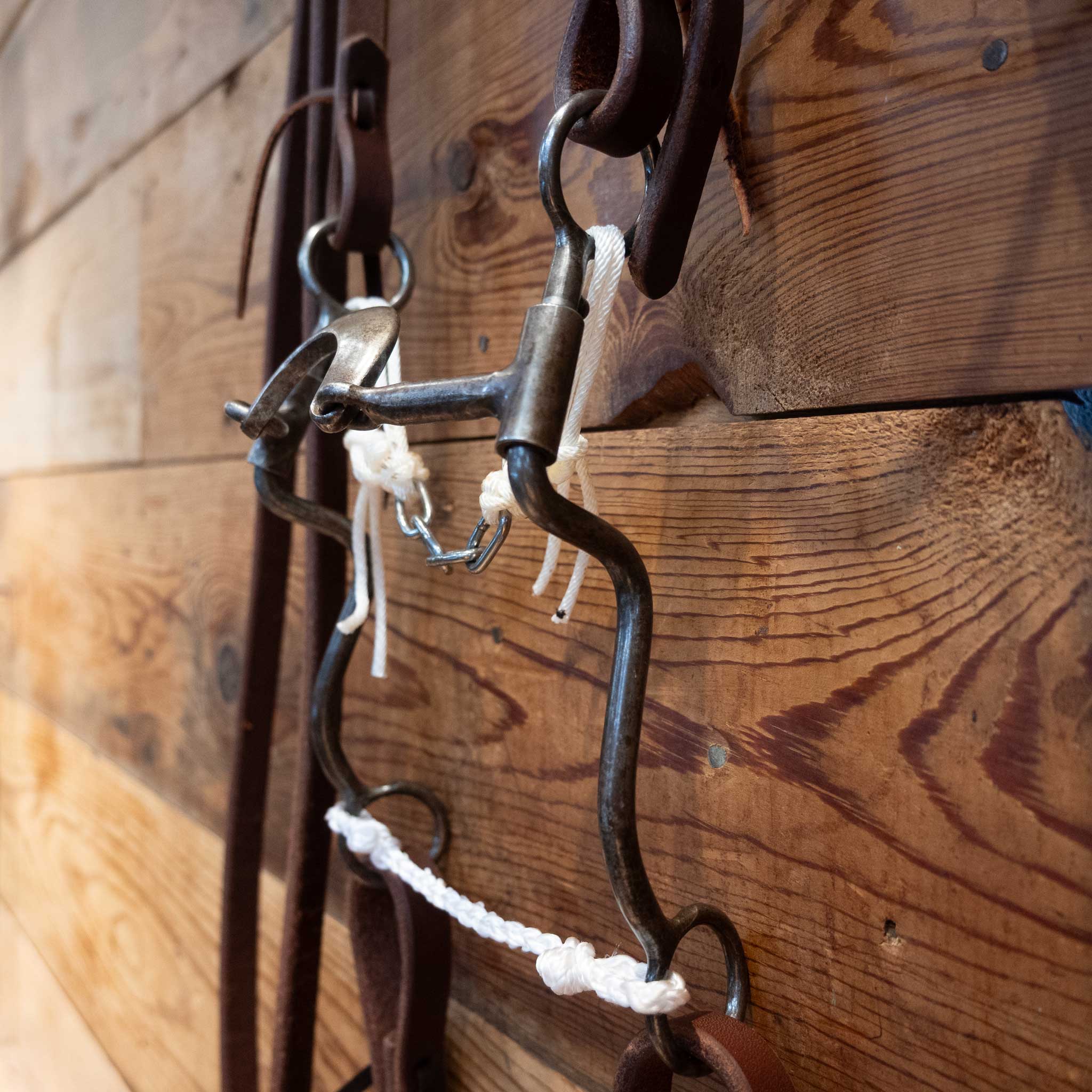 Daryl Davis Loose Port Bridle Rig