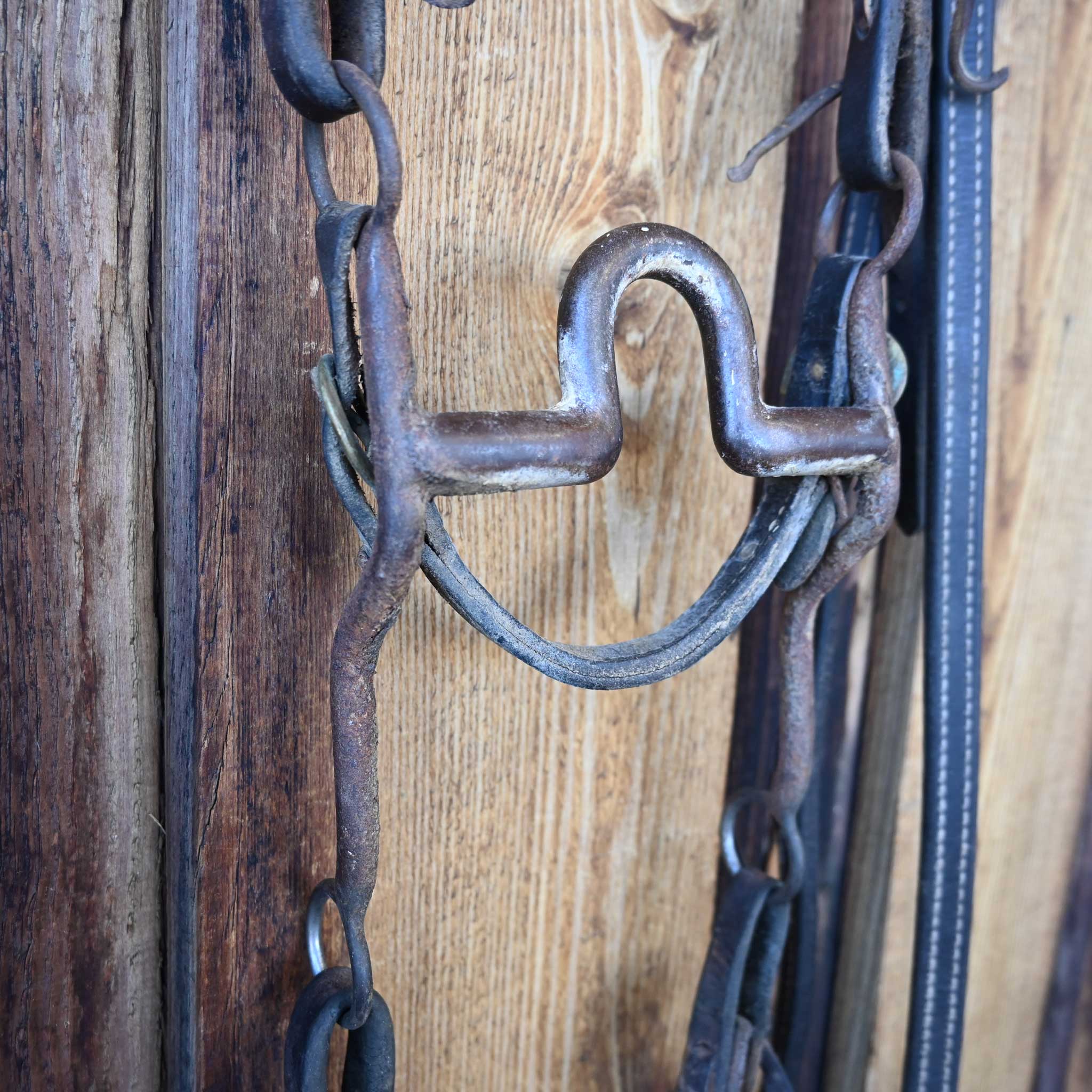 Daryl Davis Solid Port Bridle Rig w/Single Ear Headstall