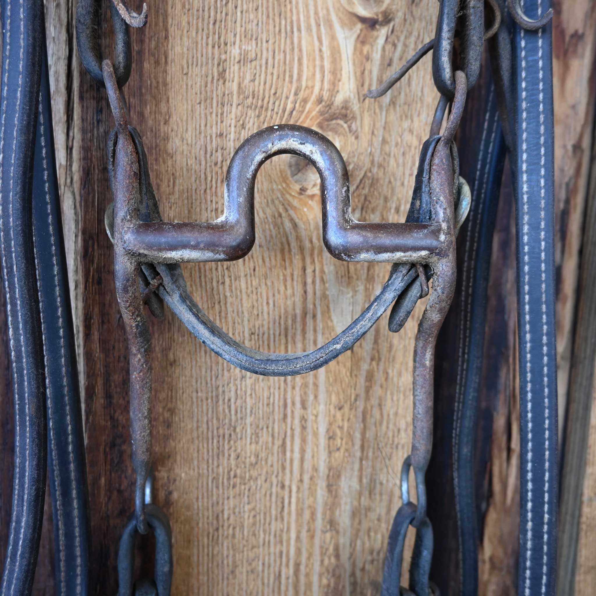 Daryl Davis Solid Port Bridle Rig w/Single Ear Headstall - Image 2