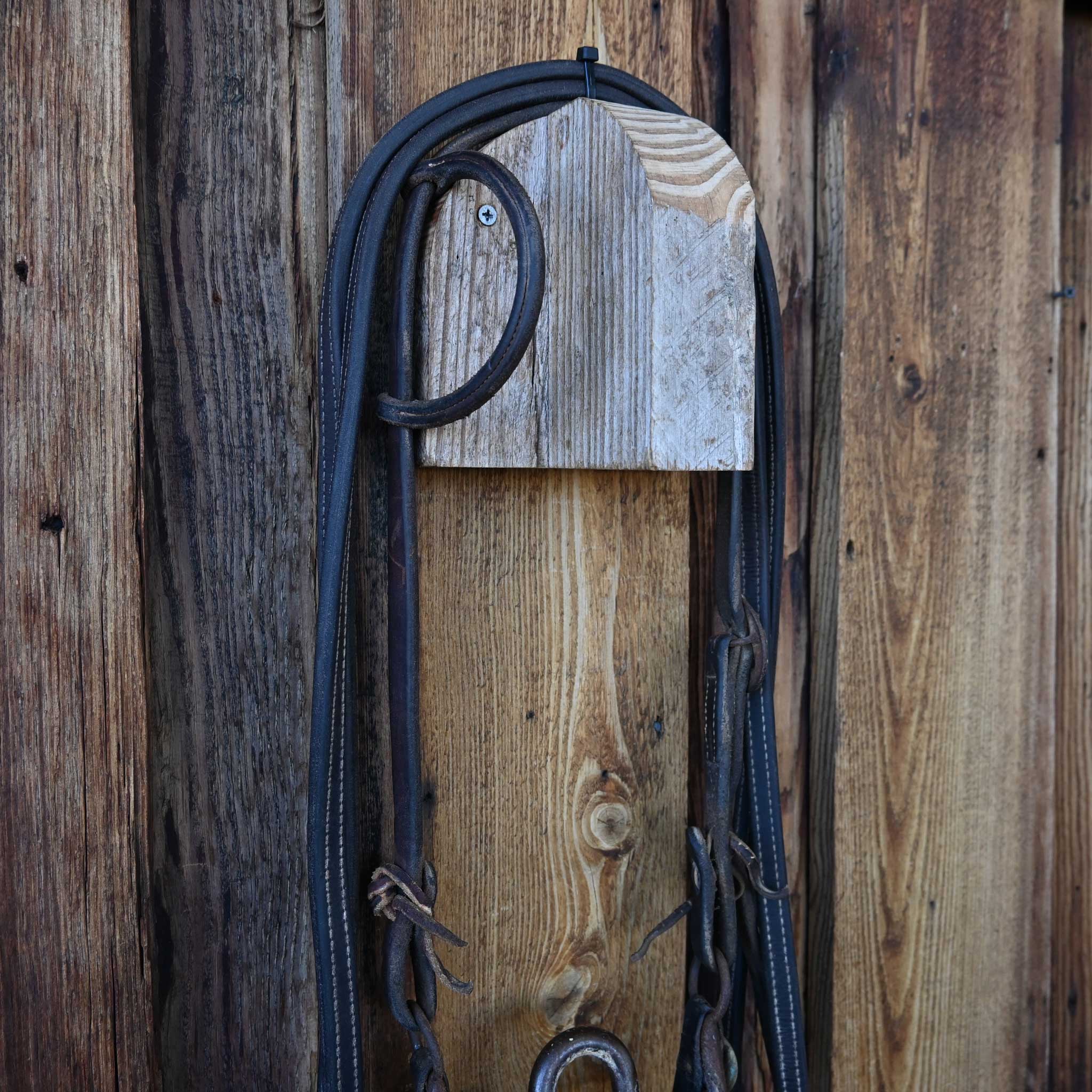 Daryl Davis Solid Port Bridle Rig w/Single Ear Headstall - Image 3