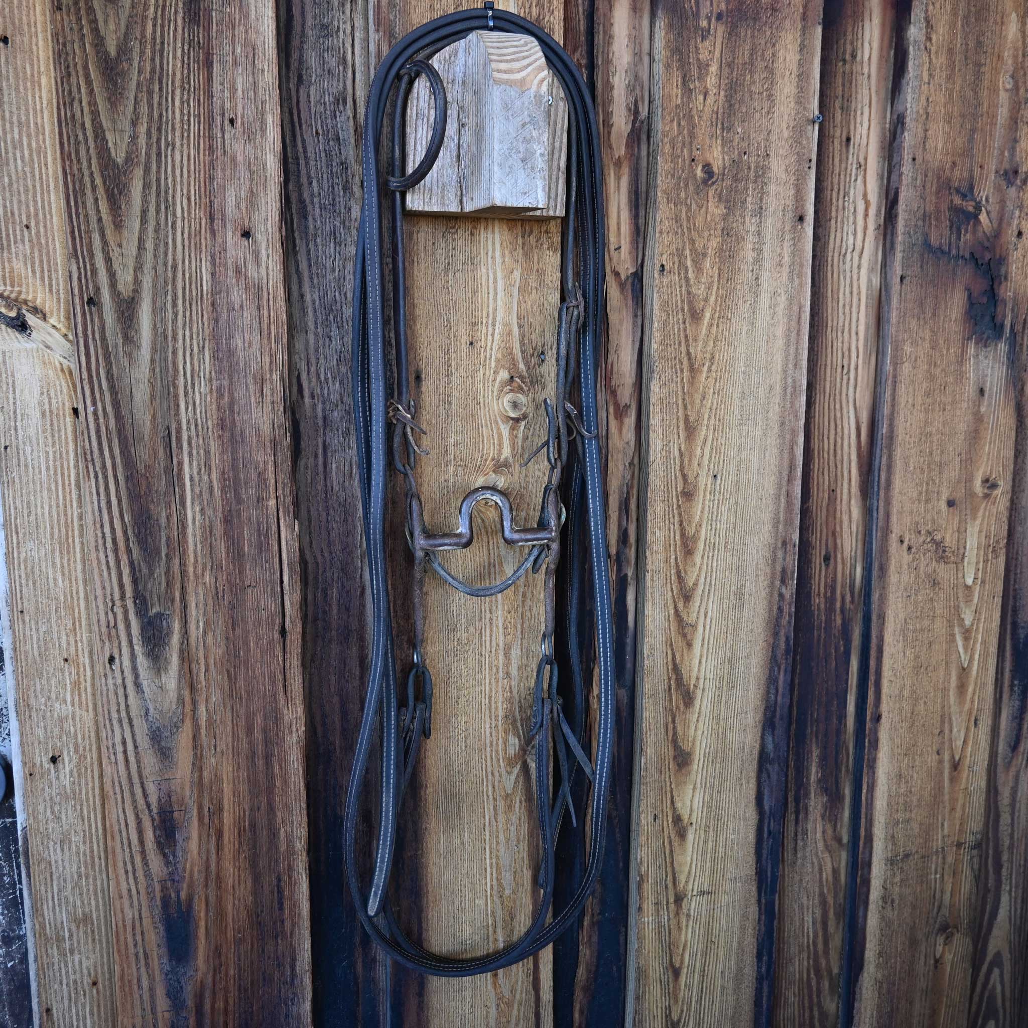 Daryl Davis Solid Port Bridle Rig w/Single Ear Headstall - Image 4