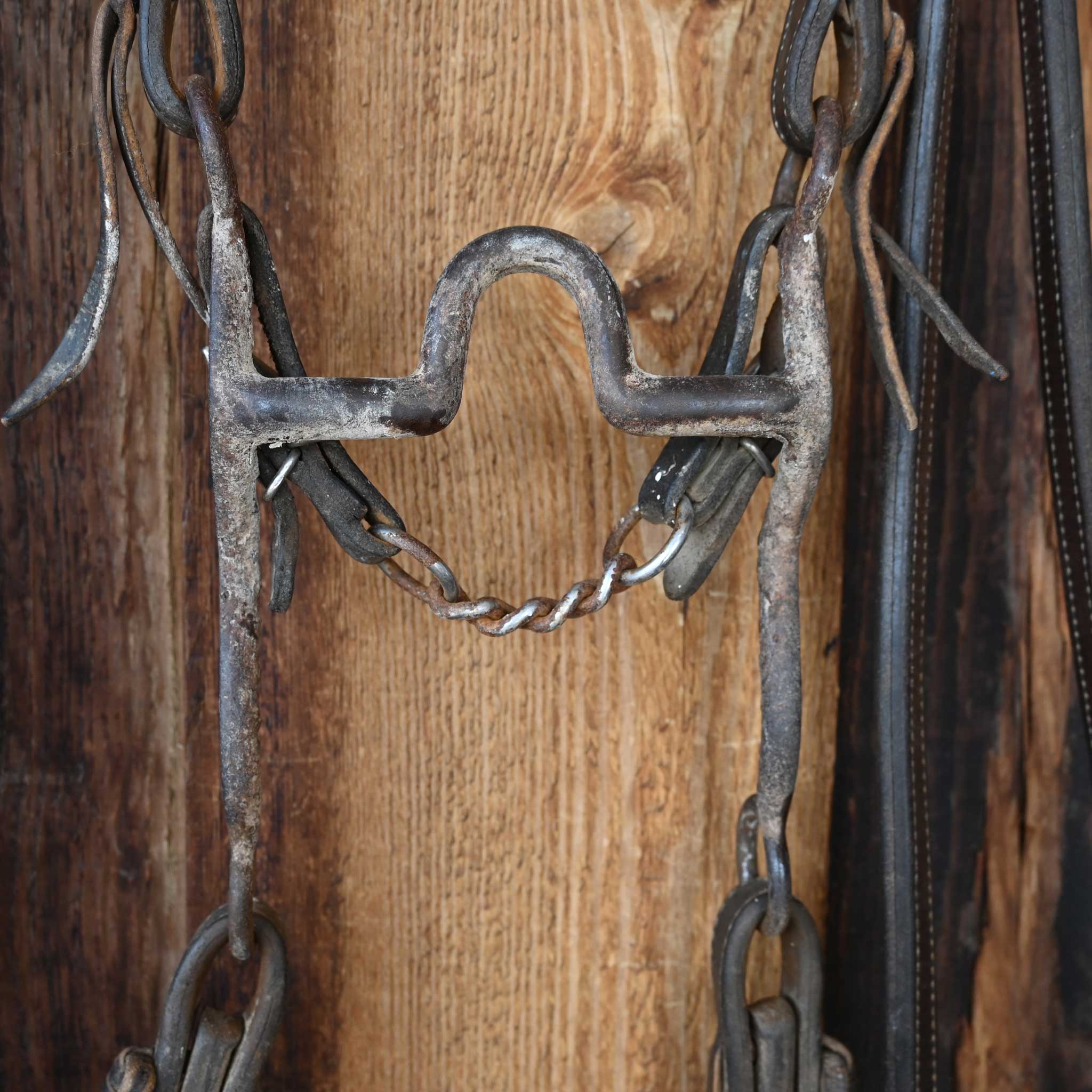 Daryl Davis Solid Port Bridle Rig w/Single Ear Headstall - Image 2