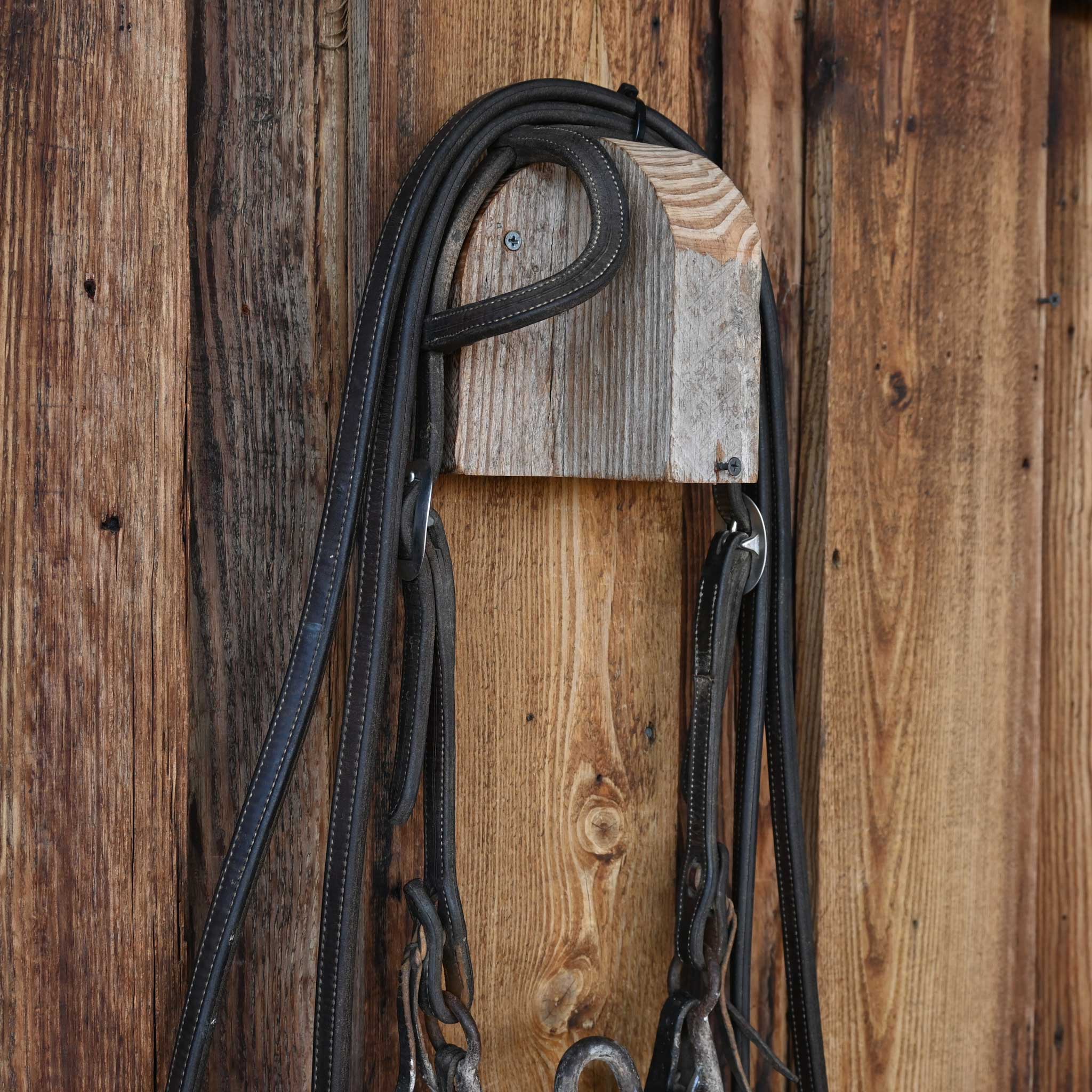 Daryl Davis Solid Port Bridle Rig w/Single Ear Headstall - Image 3