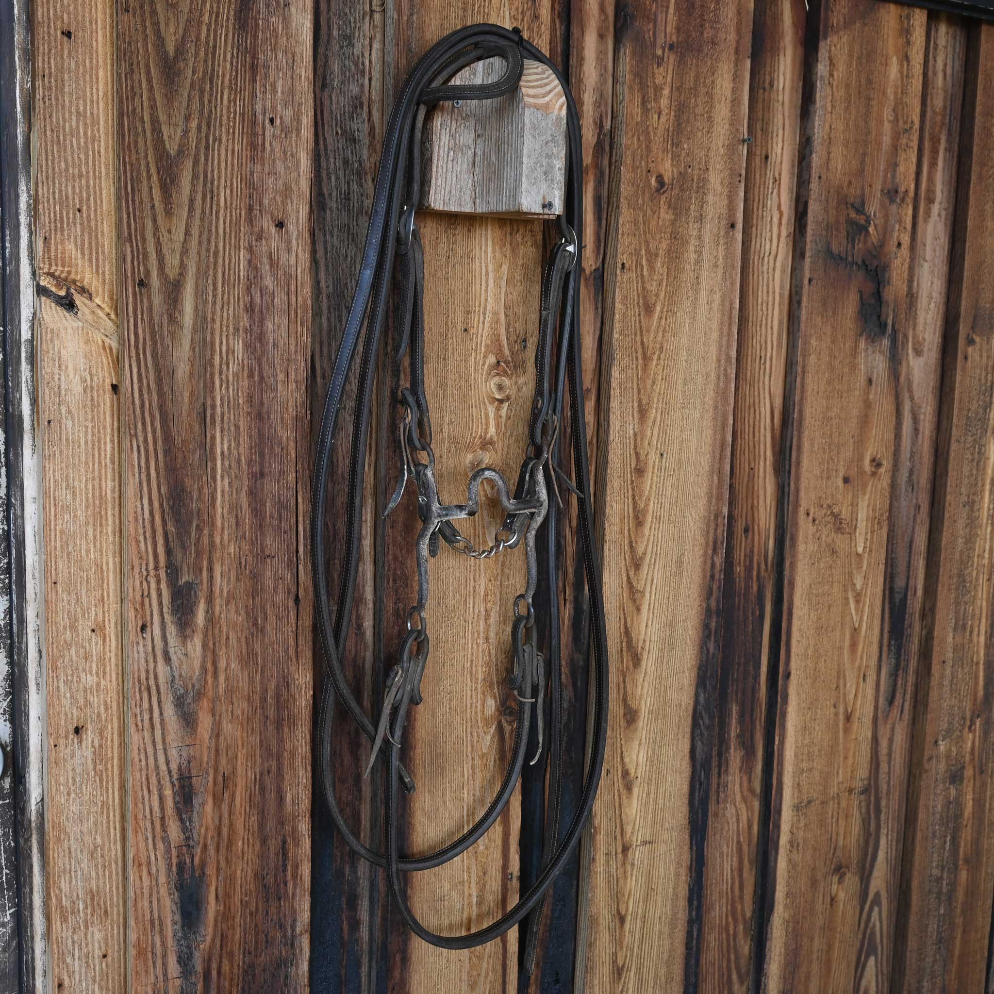 Daryl Davis Solid Port Bridle Rig w/Single Ear Headstall - Image 4