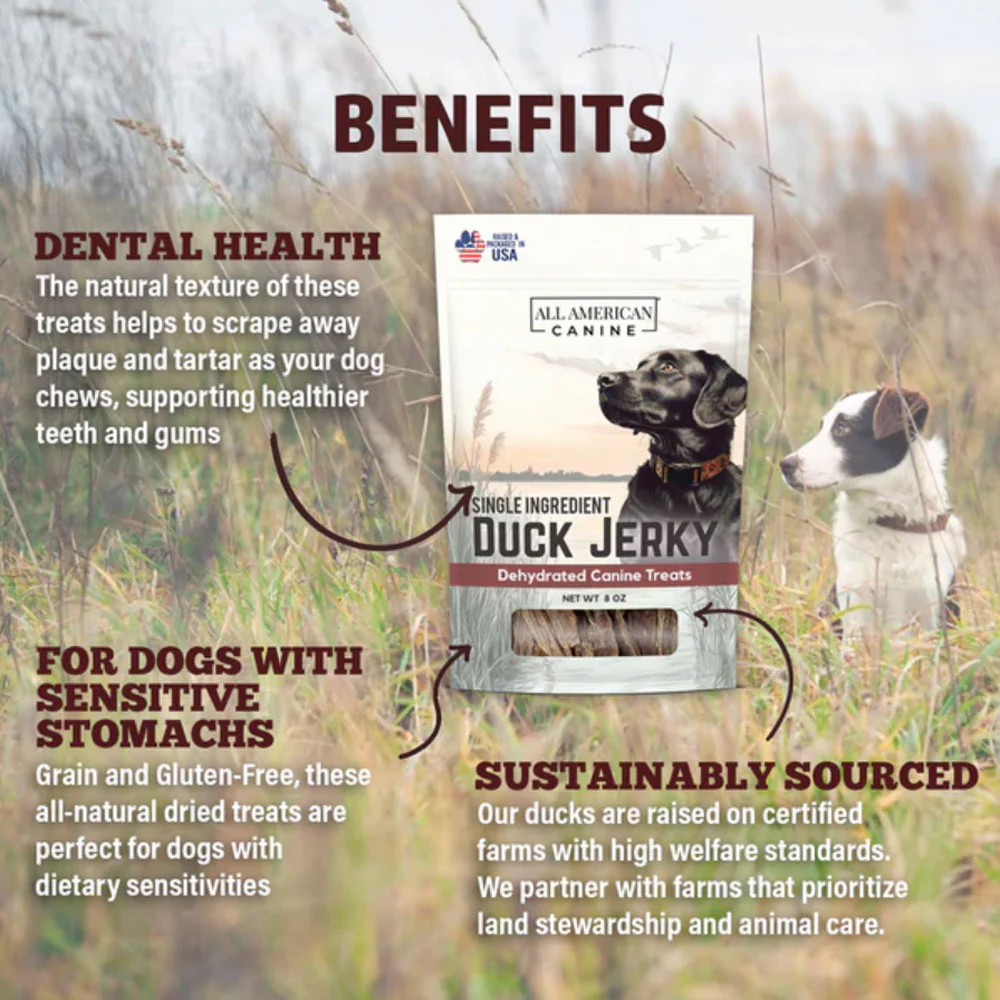 Dehydrated Duck Jerky Dog Treats - Image 4