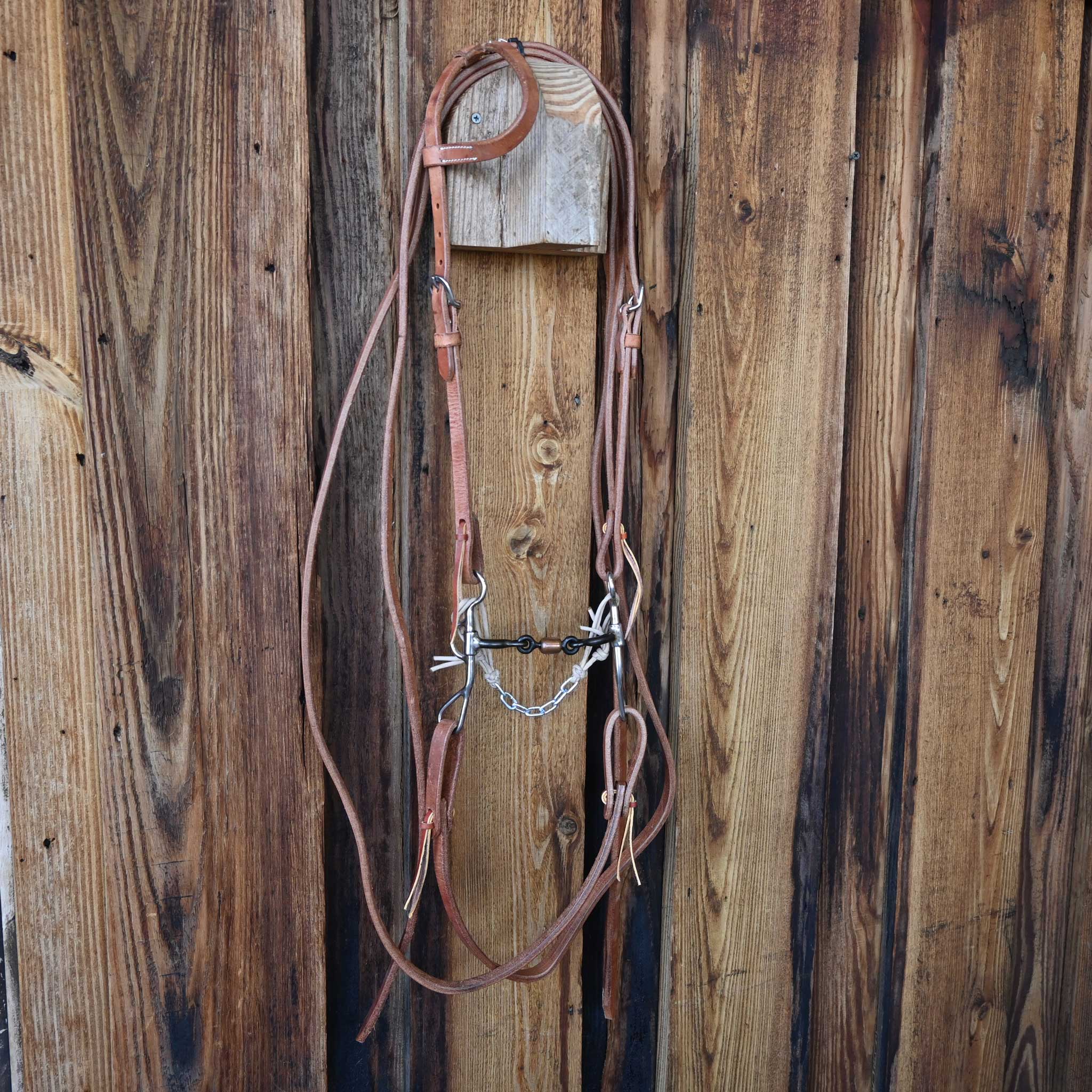 Dogbone Bridle Rig w/All New Leather - Image 4