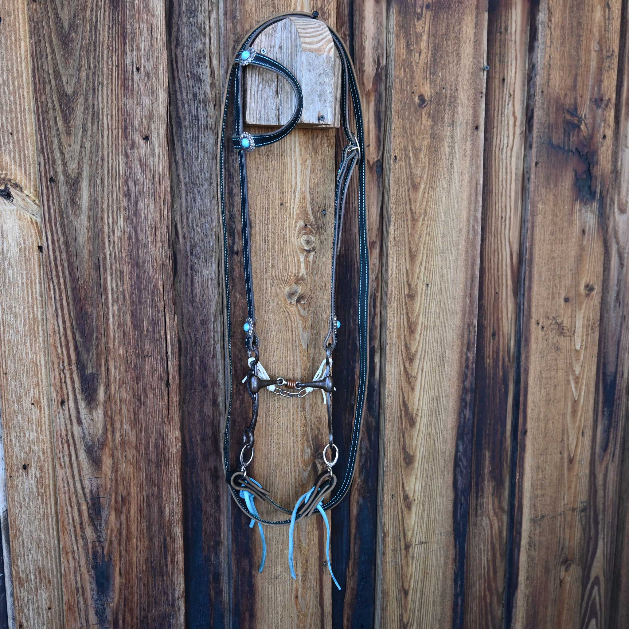 Dogbone Bridle Rig w/All New Leather - Image 4