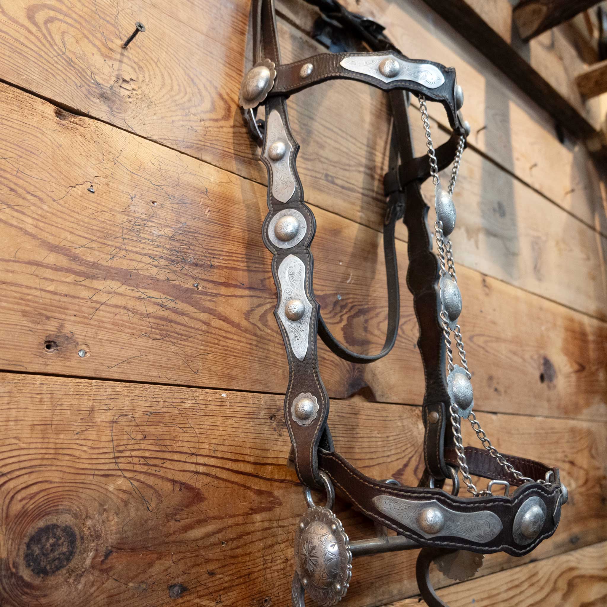 Parade Bridle w/ Sterling Silver Conchos