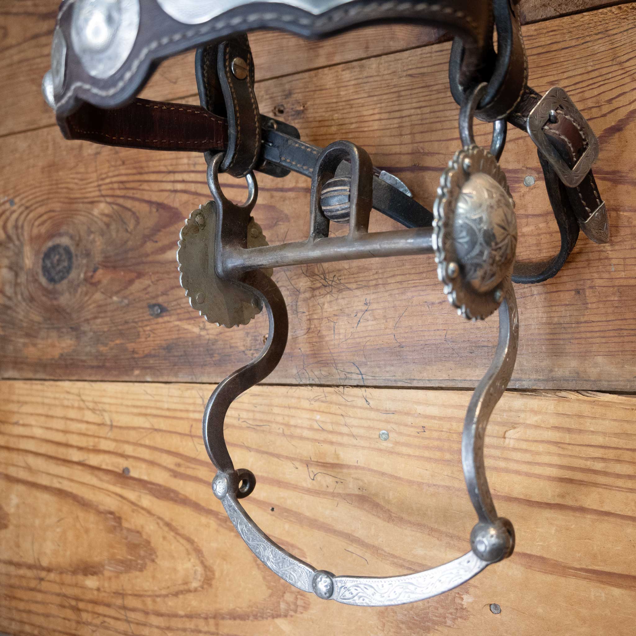 Parade Bridle w/ Sterling Silver Conchos - Image 2