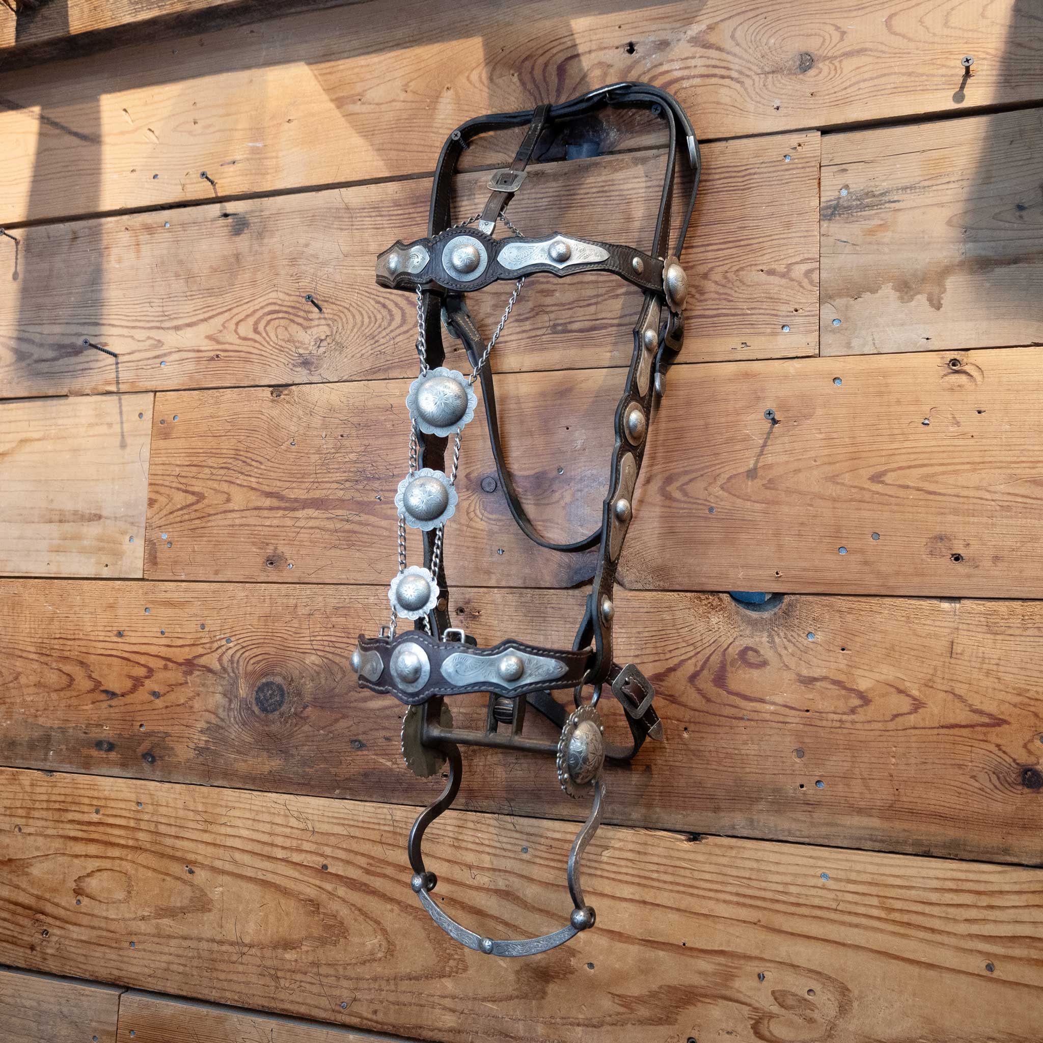 Parade Bridle w/ Sterling Silver Conchos - Image 3