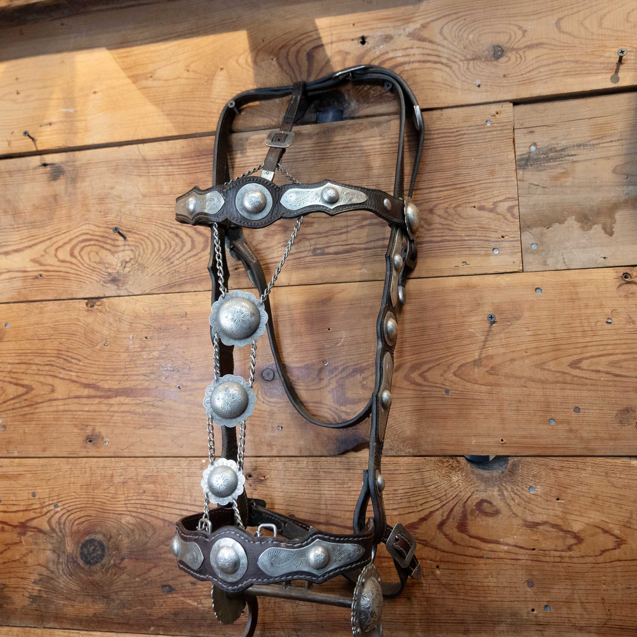 Parade Bridle w/ Sterling Silver Conchos - Image 4