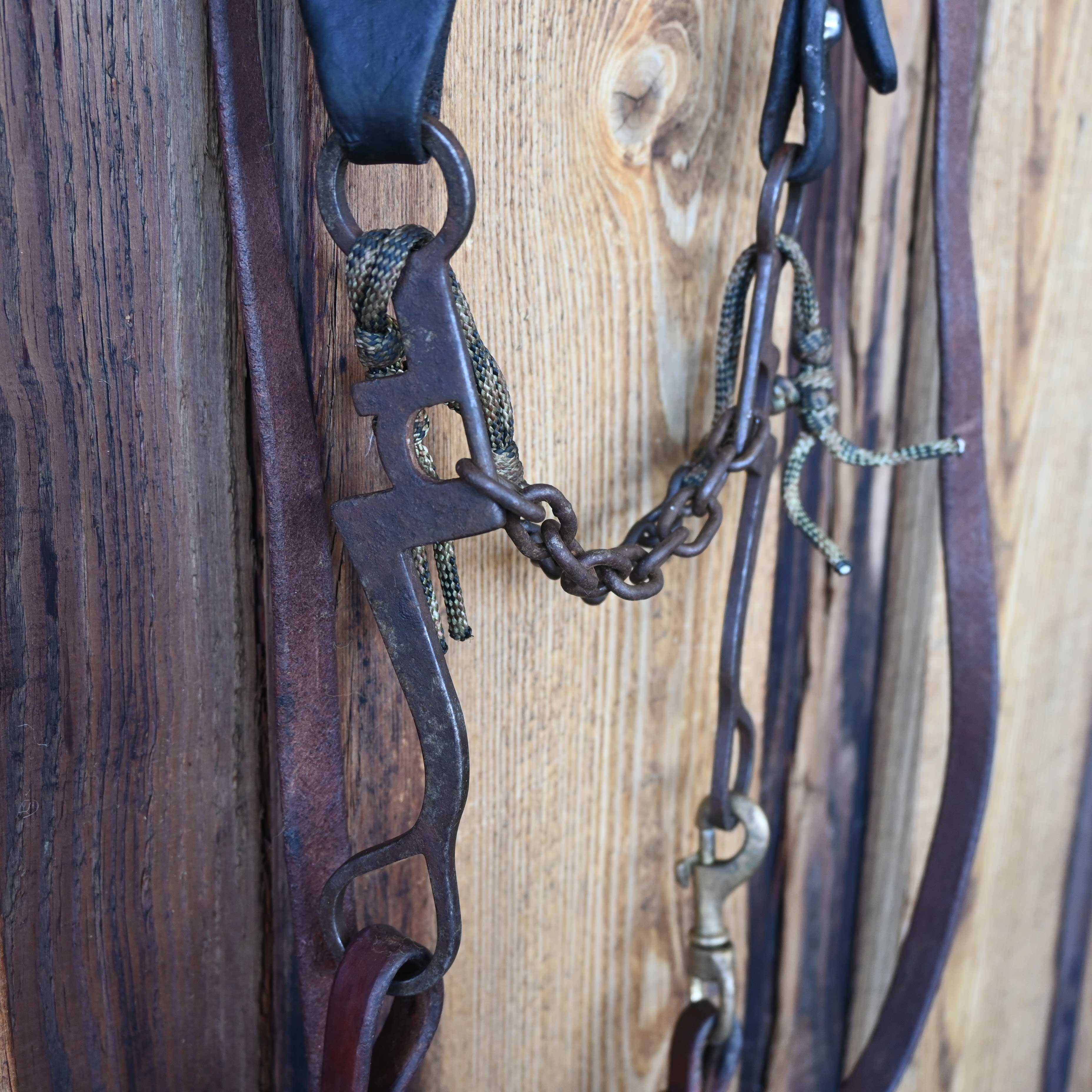 Jim Edwards Chain Bridle Rig w/ Single Ear Headstall