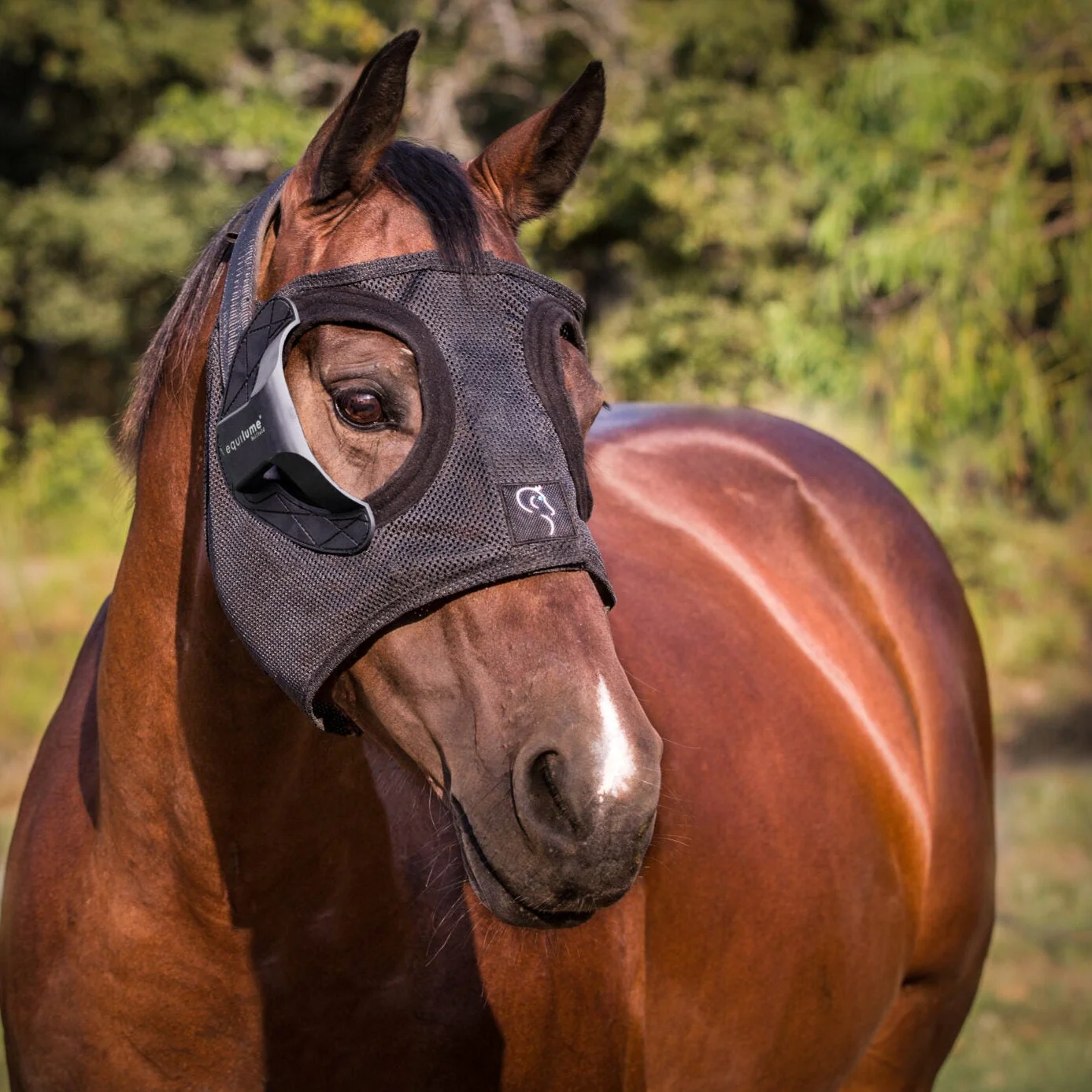 Equilume Belfield Light Mask