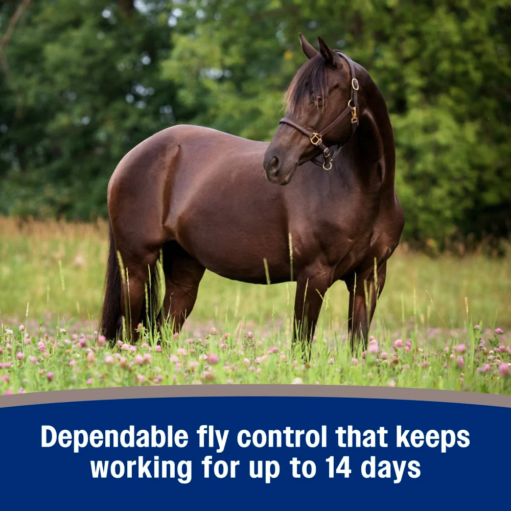 Farnam Tri-Tec Fly Repellent - Image 7