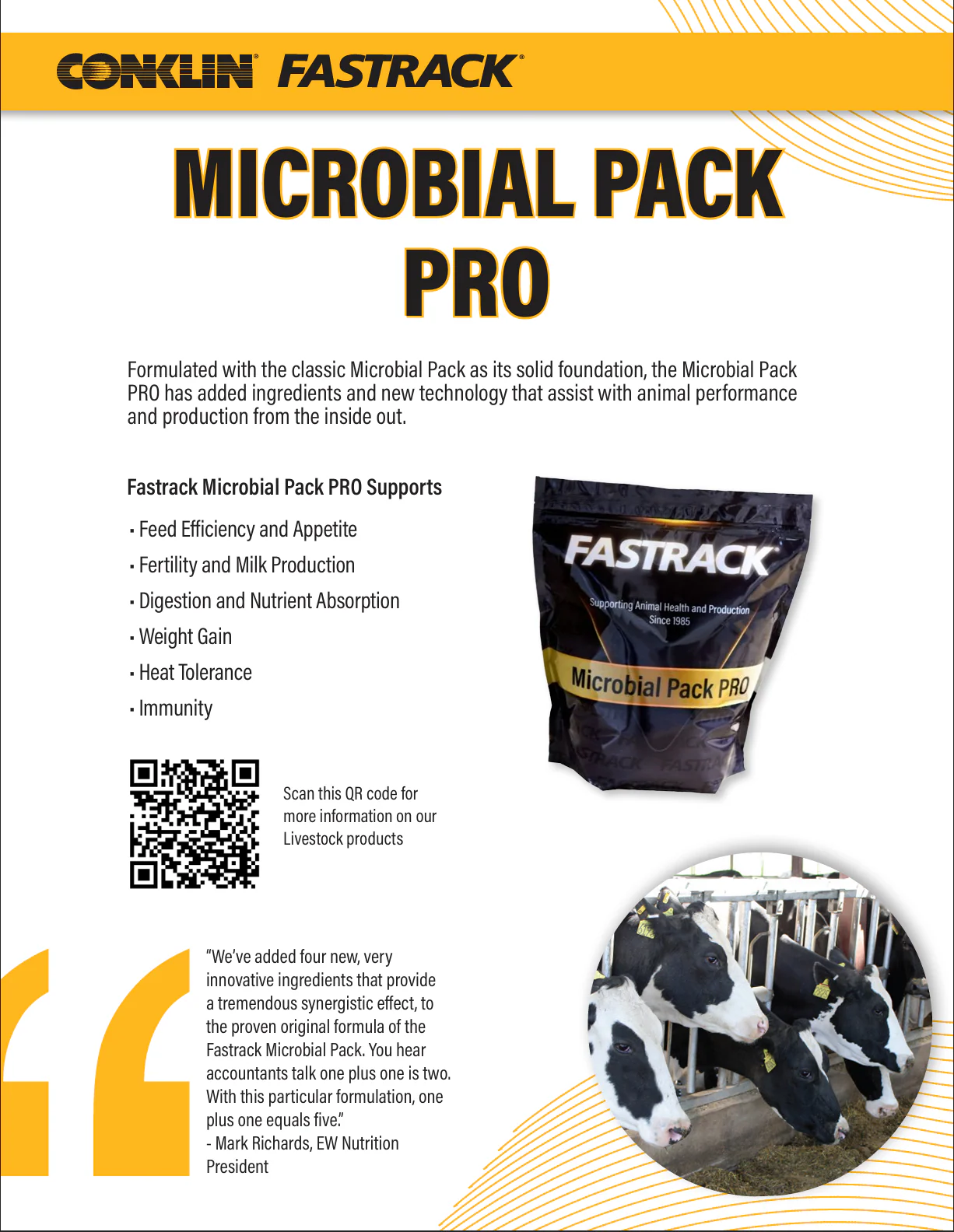 Fastrack - Image 2