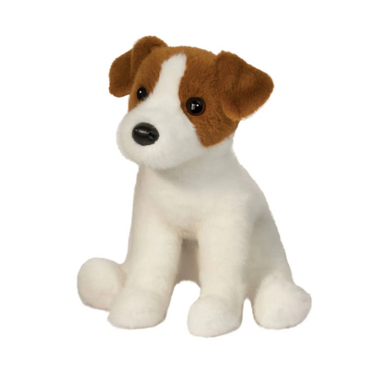 Fiona Jack Russell Terrier