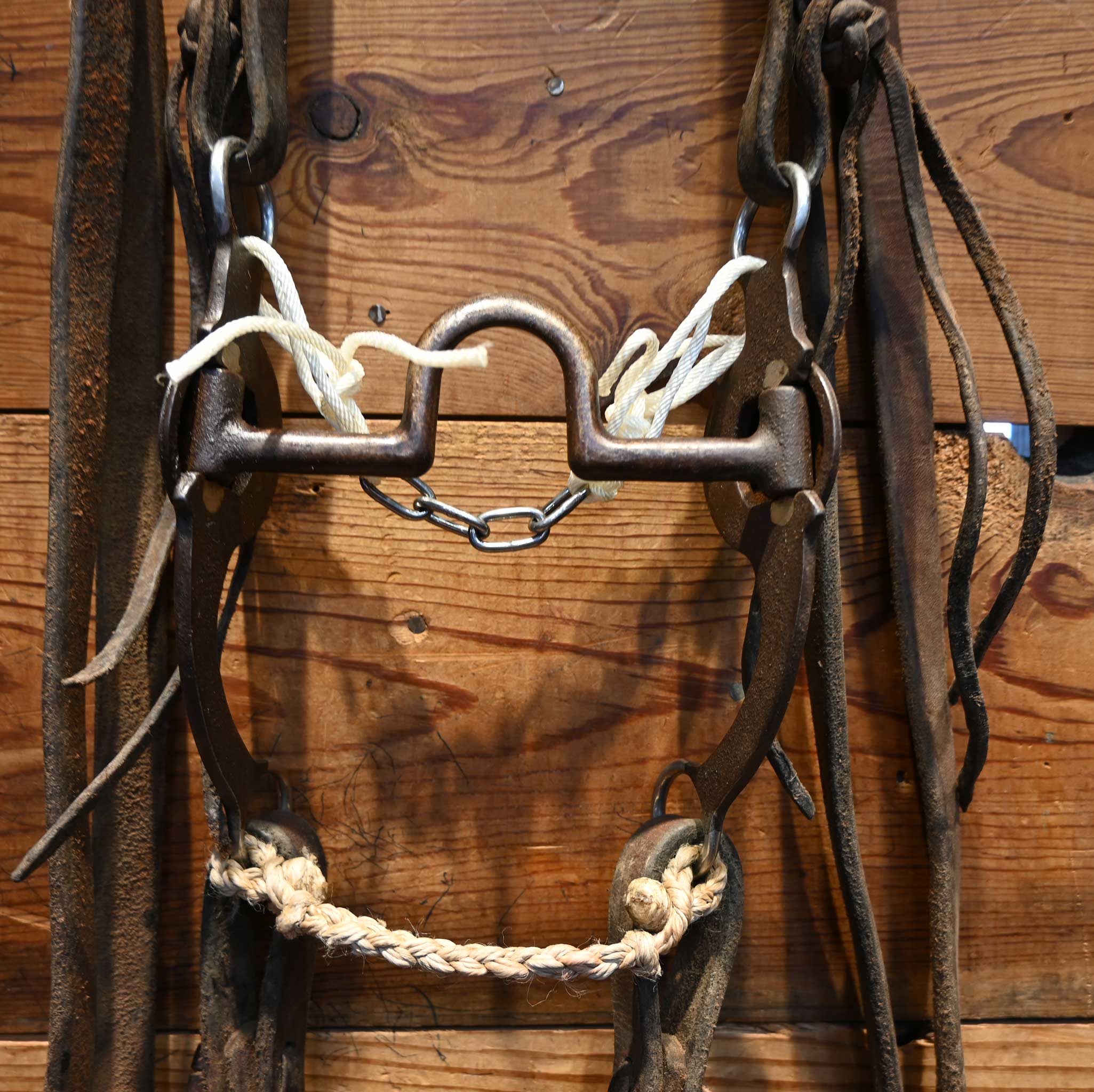 Solid Port Bridle Rig w/ Split Ear Headstall - Image 2