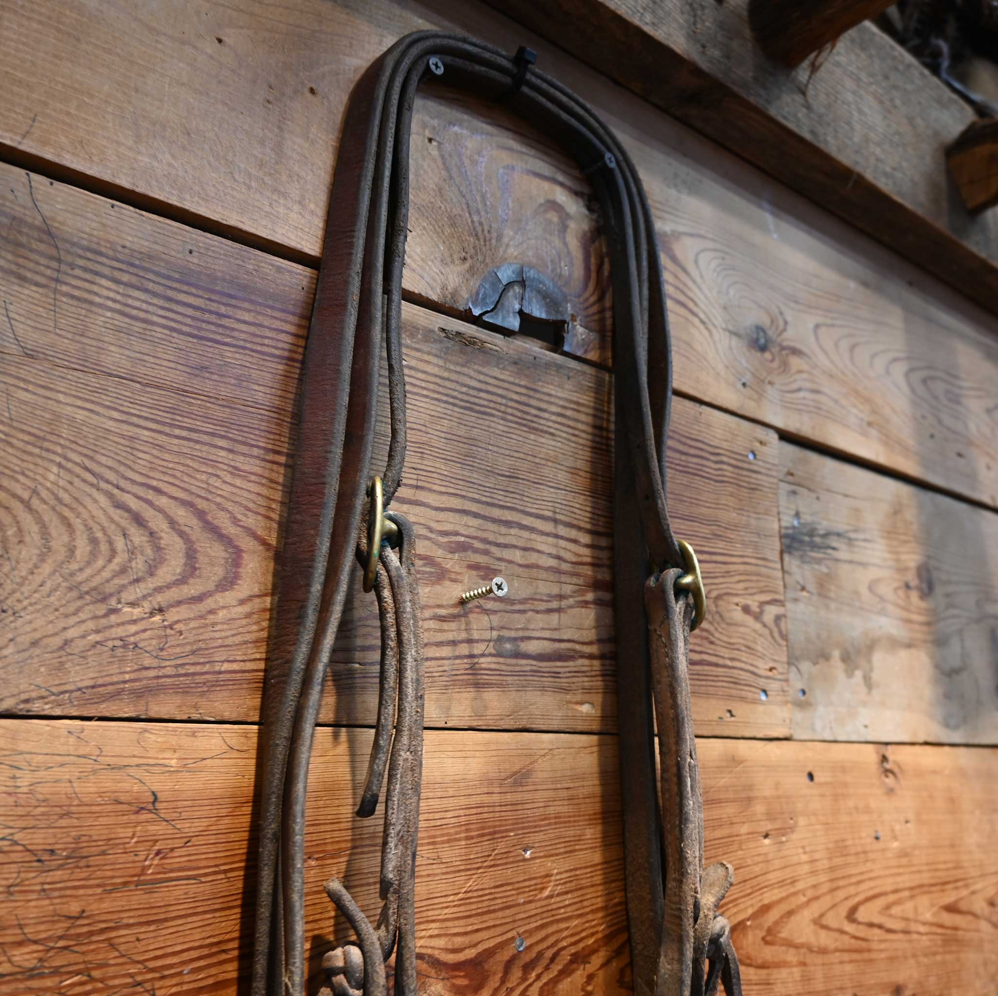 Solid Port Bridle Rig w/ Split Ear Headstall - Image 3