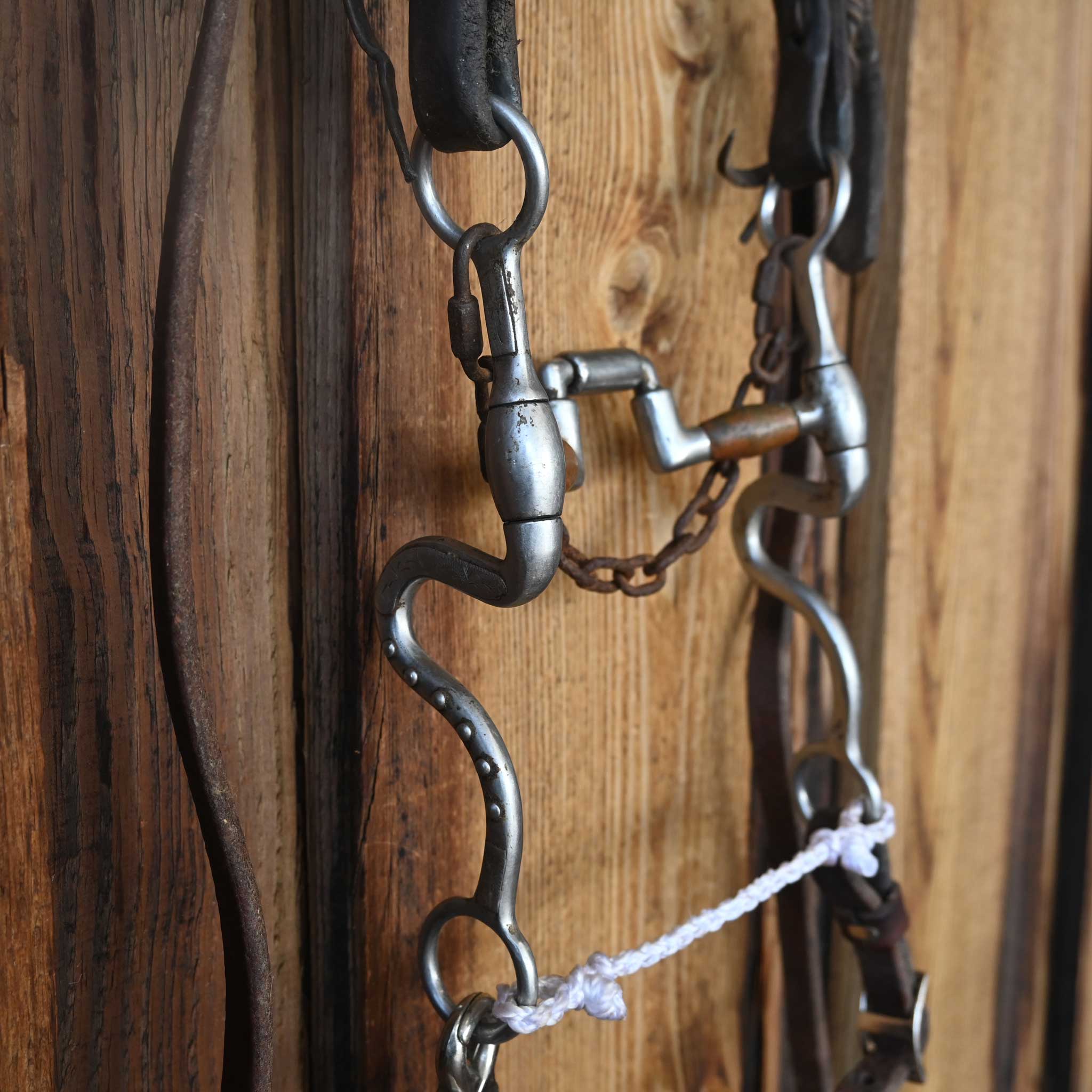 Francois Gauthier Hinge Port Correction Bridle Rig w/Split Ear Headstall