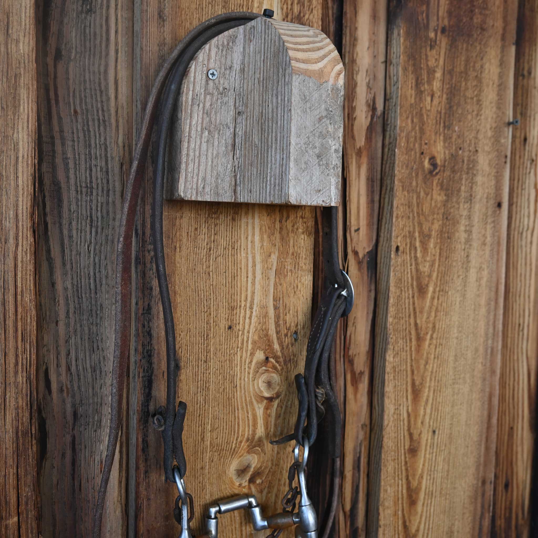 Francois Gauthier Hinge Port Correction Bridle Rig w/Split Ear Headstall - Image 3