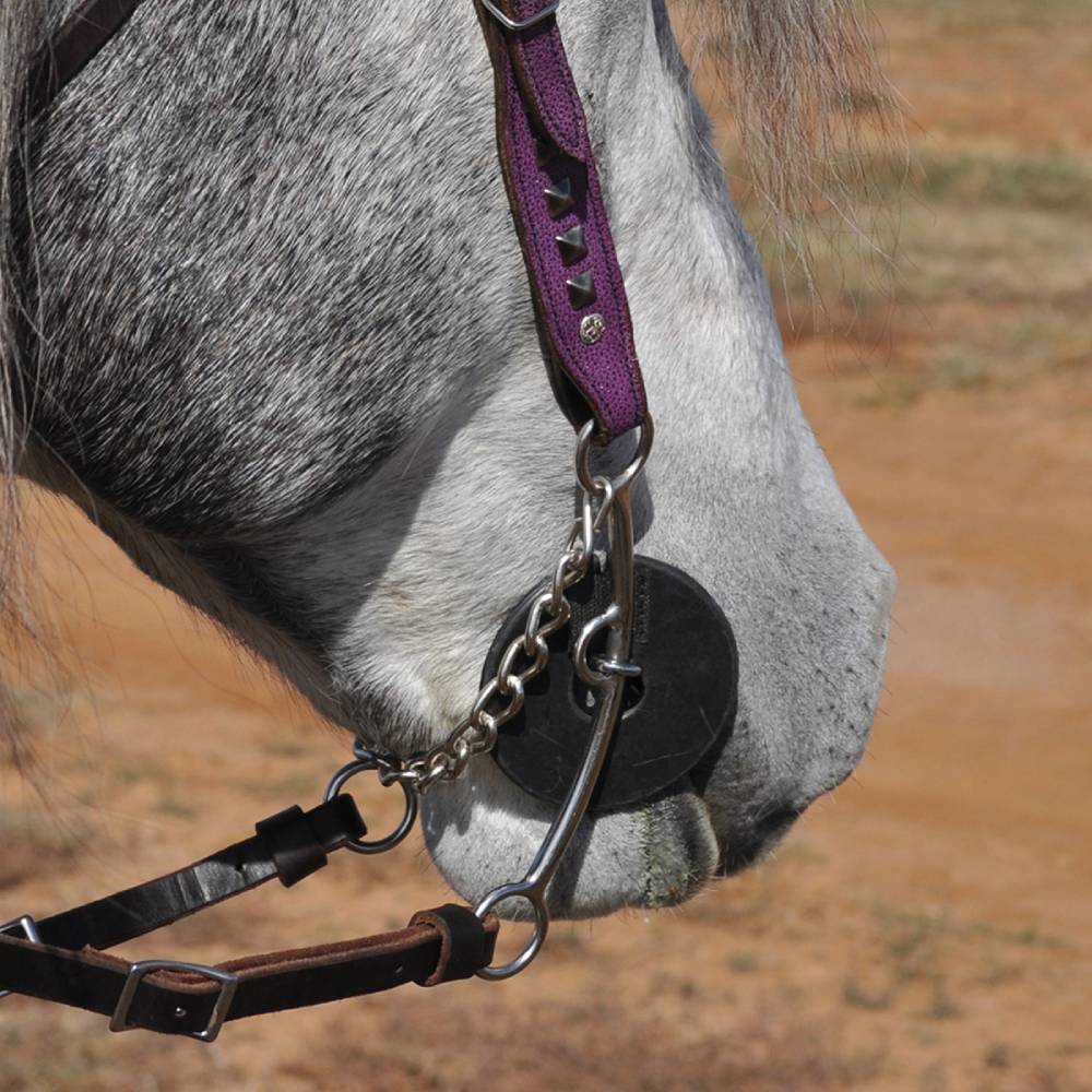 Classic Equine Goostree Long Shank Twisted Wire Snaffle Pickup Bit - Image 2