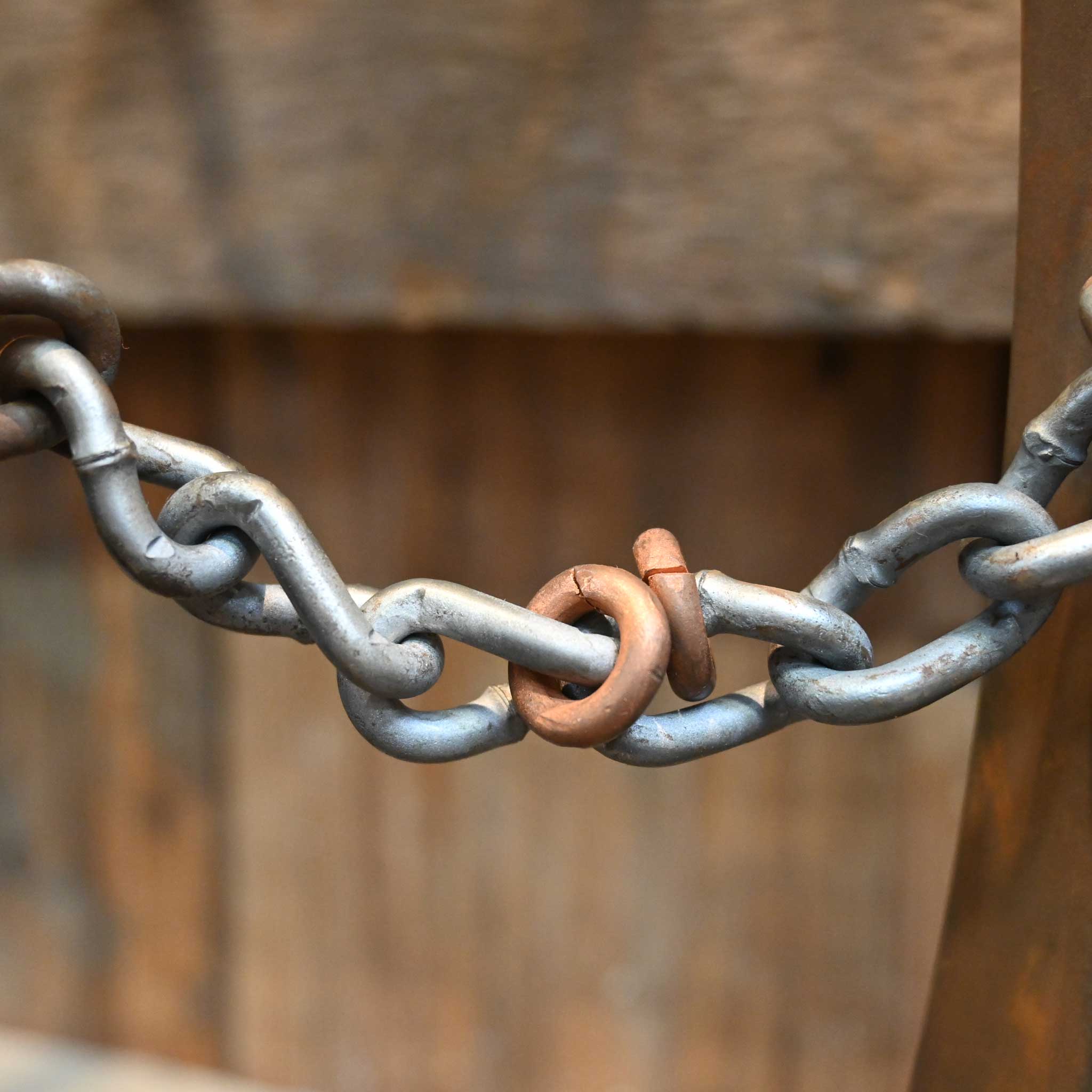 Gordy Alderson Chain Bit - Image 2