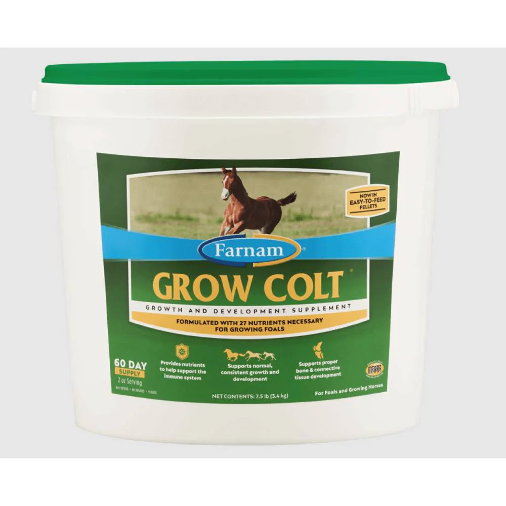 Farnam Grow Colt - Image 2