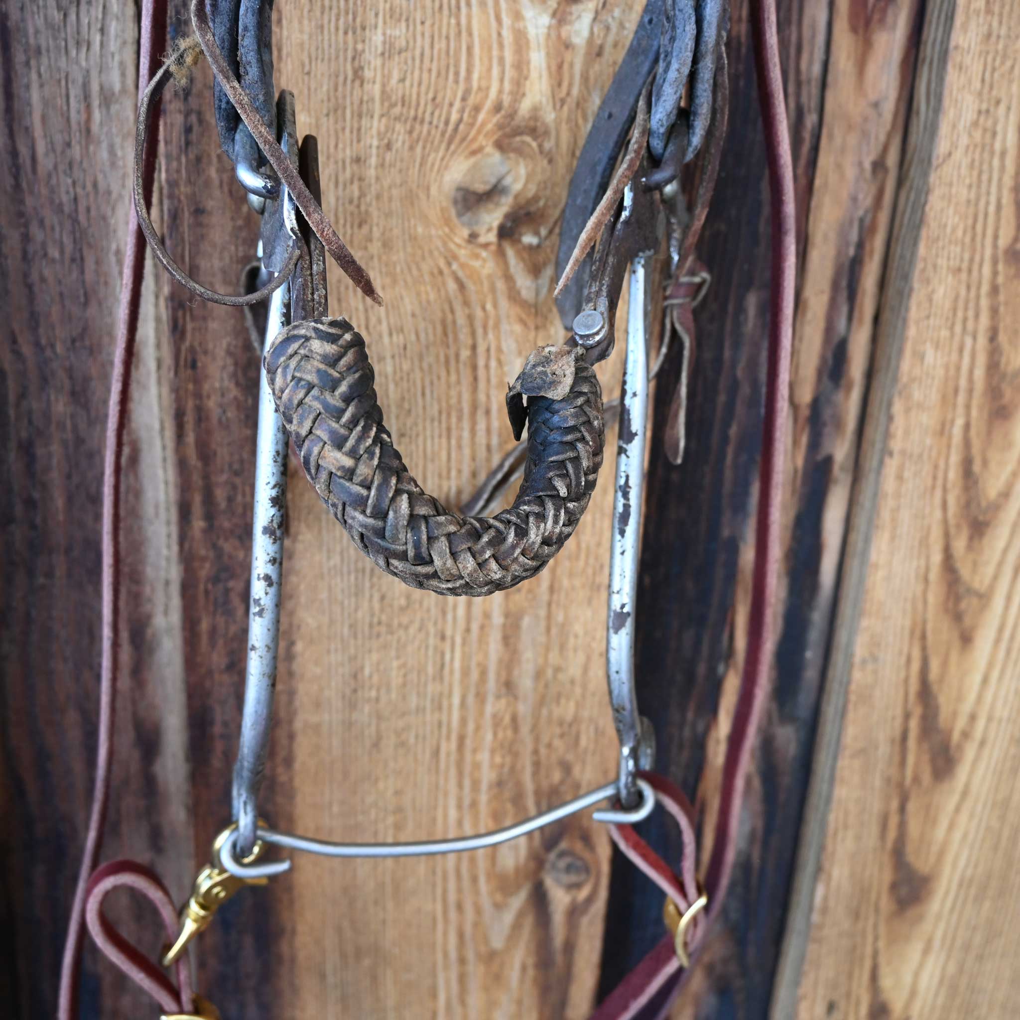 Hackamore Bridle Rig - Image 2