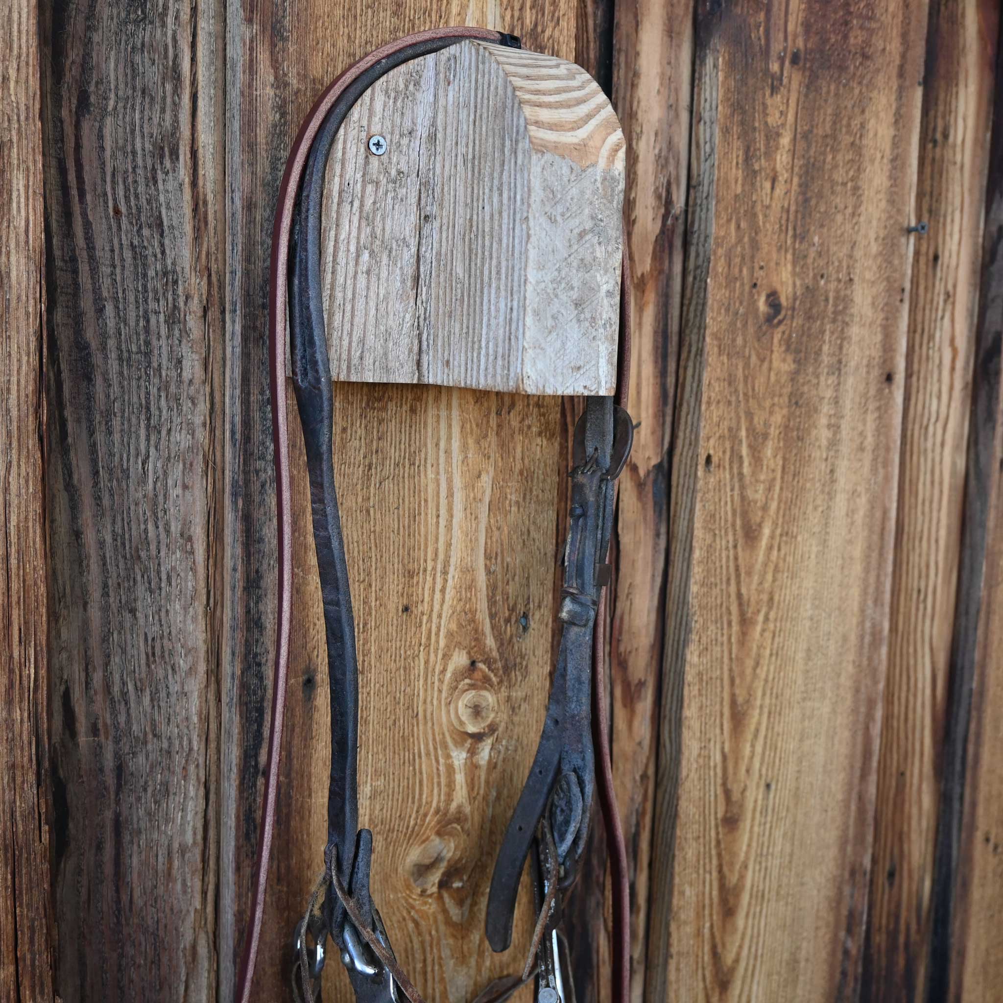 Hackamore Bridle Rig - Image 3