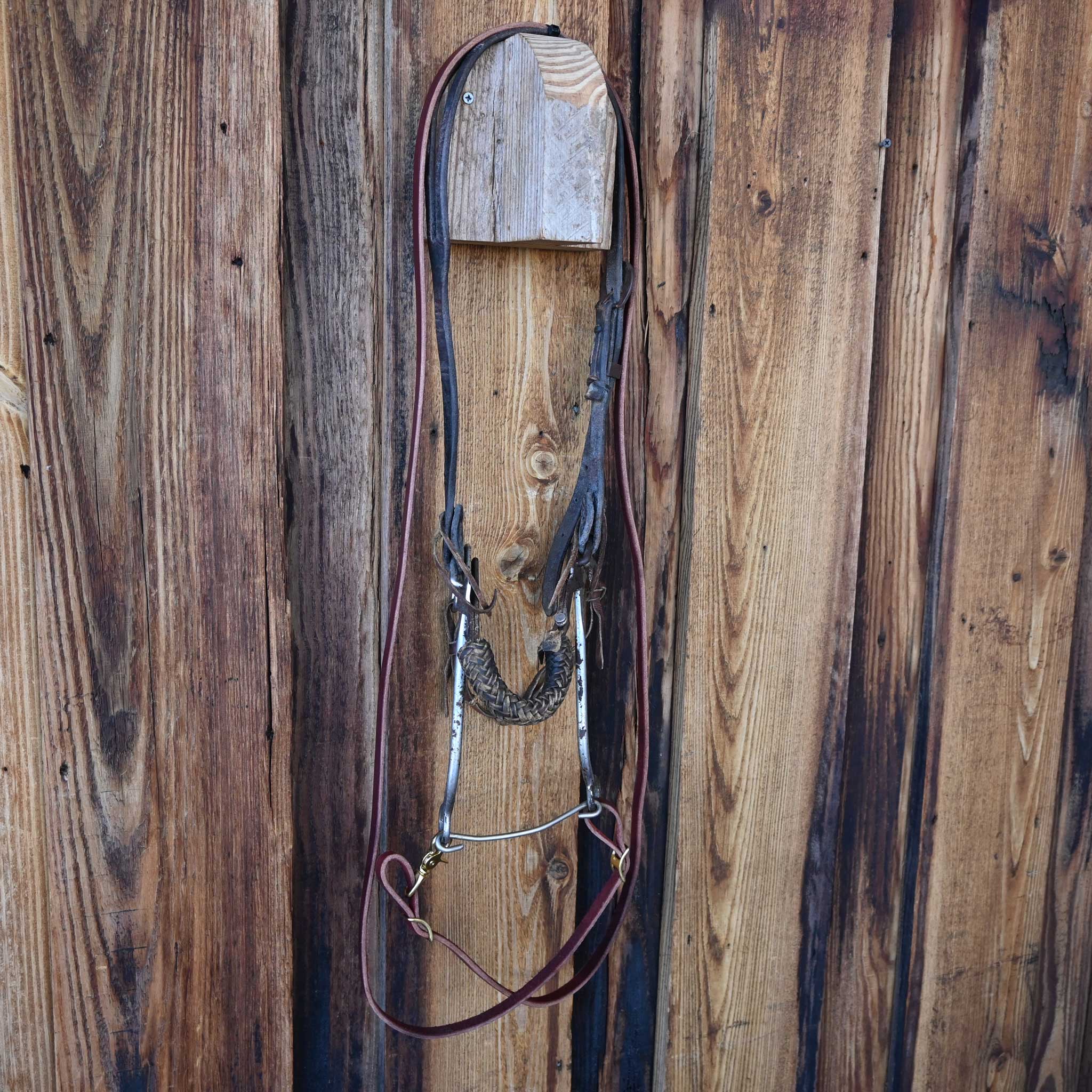 Hackamore Bridle Rig - Image 4