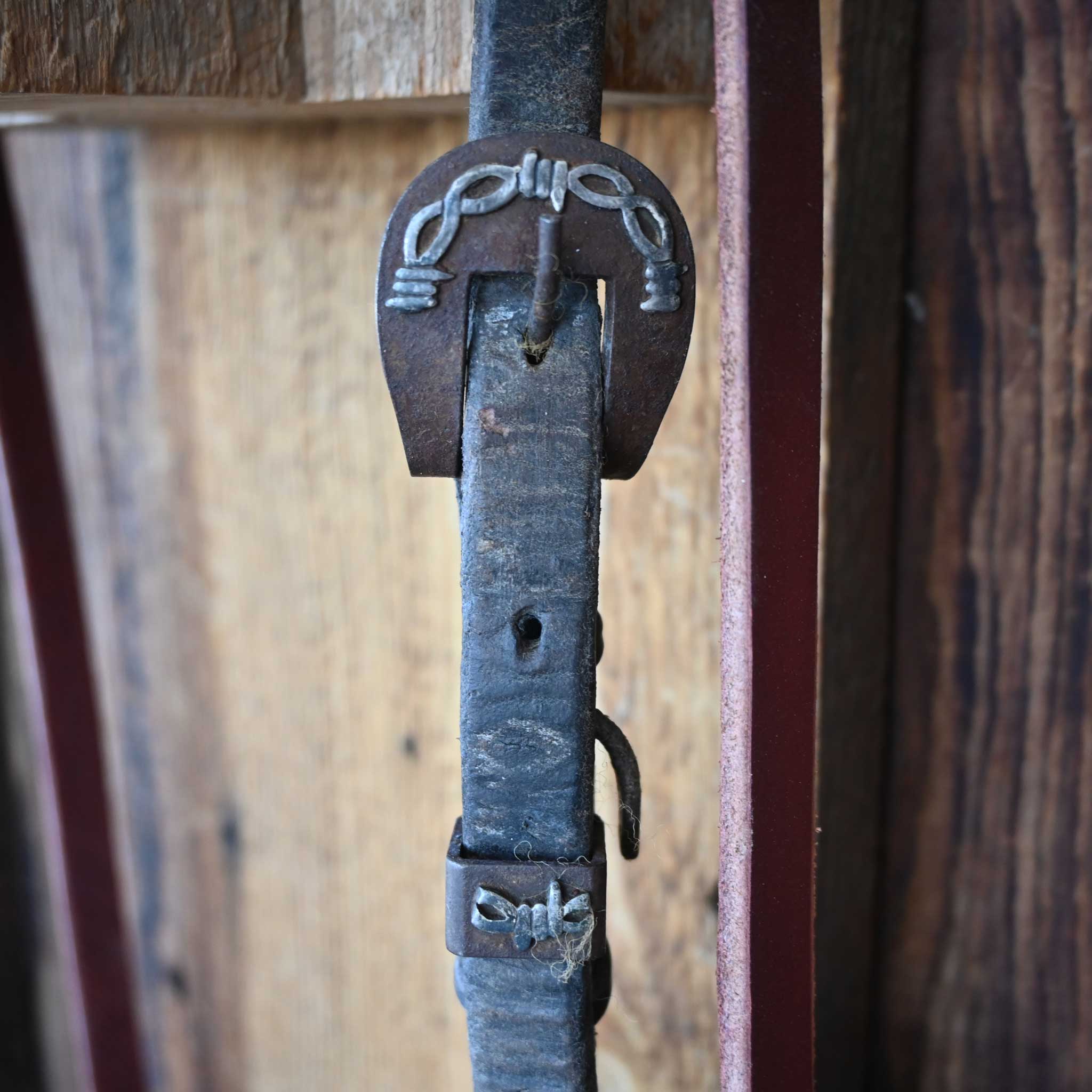 Hackamore Bridle Rig - Image 5