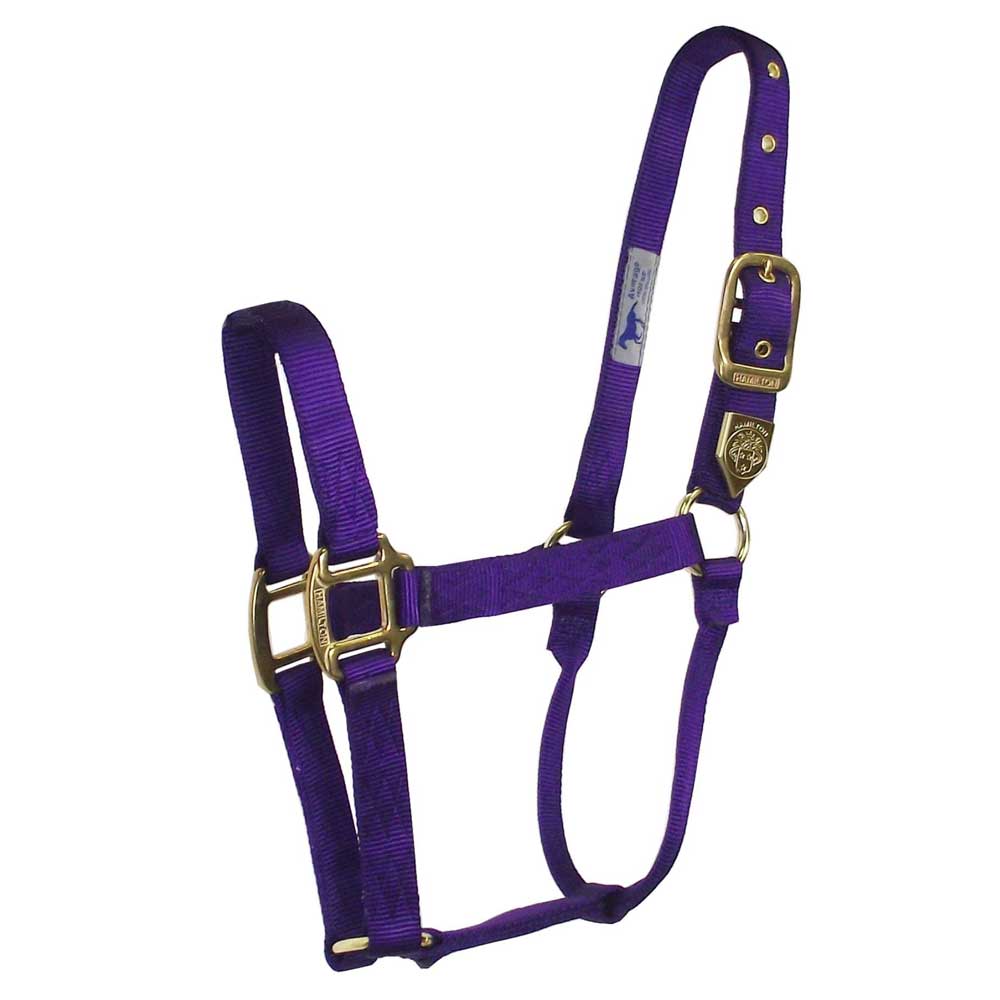 Hamilton 1" Deluxe Nylon Halter - Image 10