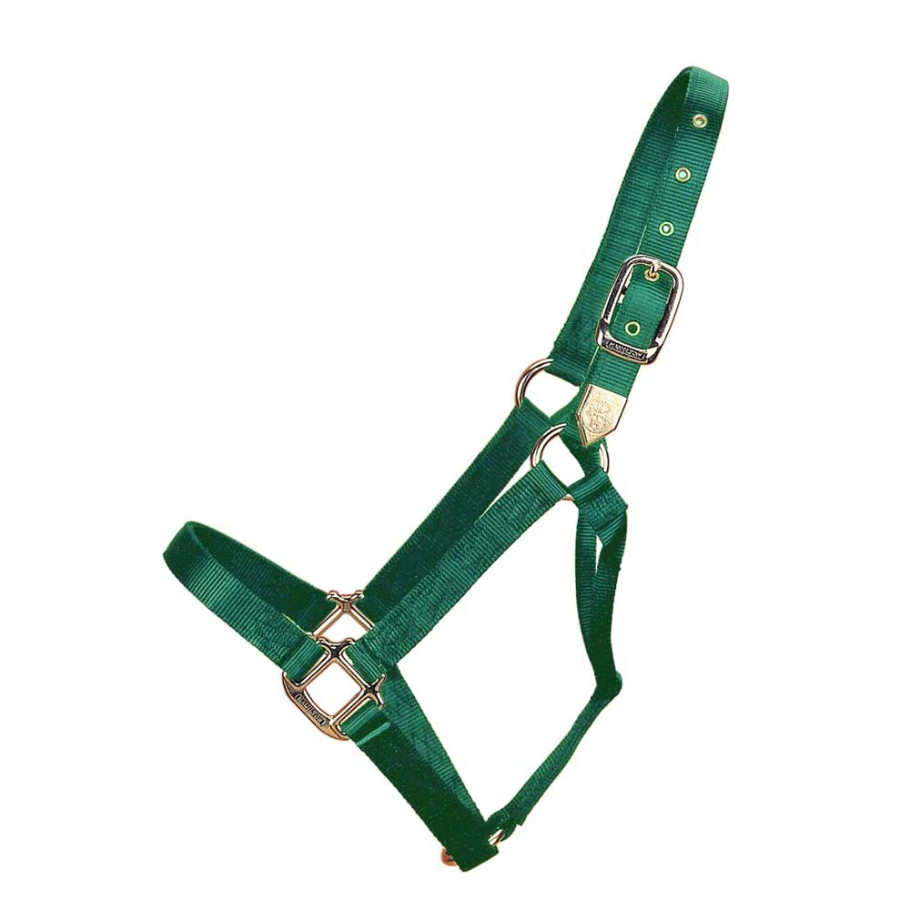 Hamilton 1" Deluxe Nylon Halter - Image 11